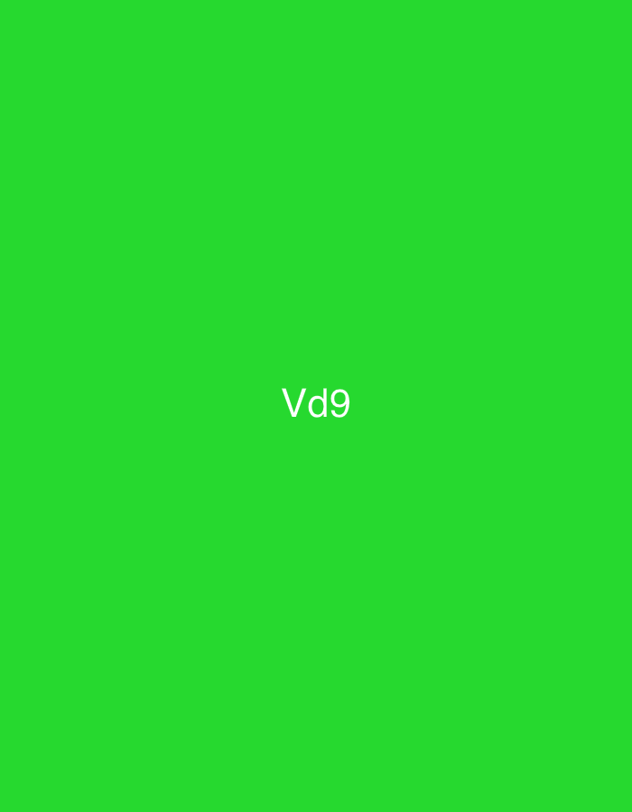 The image displays a screen filled entirely with a solid, vibrant green color. Centered precisely on this green background is the white alphanumeric text "Vd9", presented in a clean, unadorned sans-serif typeface. No other elements, such as people, objects, or environmental features, are depicted within the image frame. This visual is provided in the context of the city of Casablanca, Morocco.