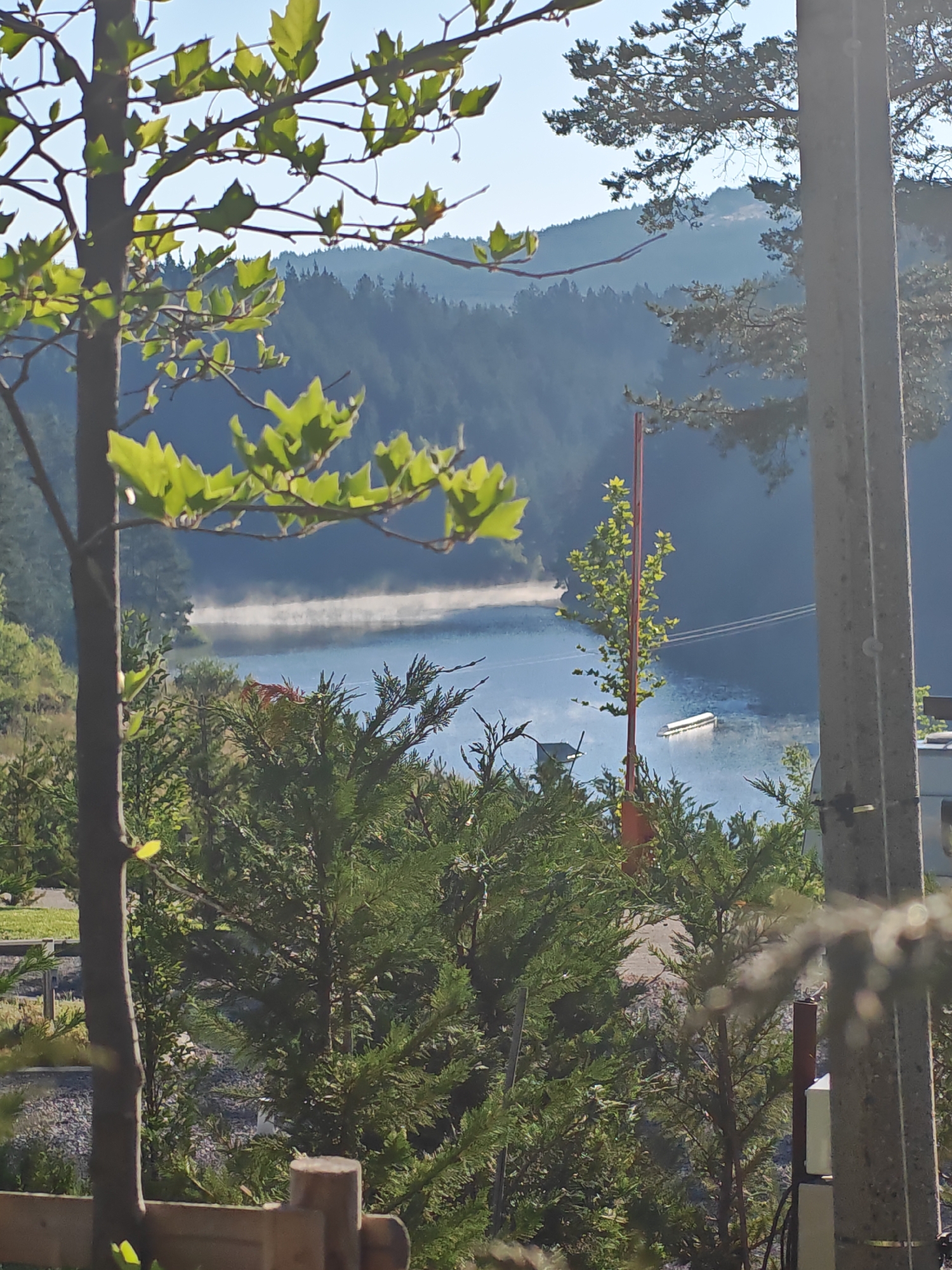 The image depicts a serene natural landscape with a body of water, likely a lake, at its center. The water is partially obscured by a gentle mist or steam rising from its surface. In the foreground, the branches of a deciduous tree with bright green leaves create a natural frame. Behind the tree, evergreen shrubs and other foliage fill the lower portion of the frame. The background features a dense forest of coniferous trees covering rolling hills. A light-colored, rectangular object, possibly a boat or platform, is visible on the water. A tall, thin red pole stands in the water near the center right of the image, and a concrete utility pole is prominent on the far right. The sky is a clear, pale blue, suggesting a daytime scene. The overall impression is one of tranquility and natural beauty. Without specific landmarks or context, it is impossible to definitively place this image in Alino, Bulgaria.