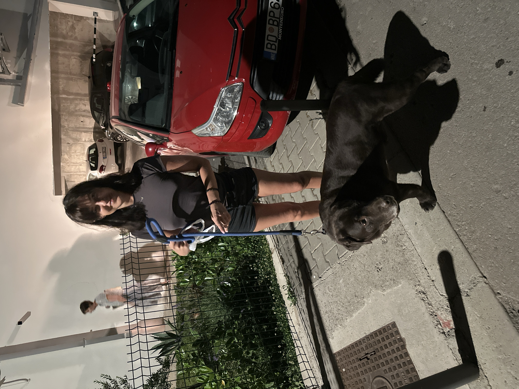 A woman with dark hair, wearing a grey t-shirt and black shorts, is standing on a sidewalk with her brown Labrador dog. The woman holds a blue leash in her right hand. Behind her is a red Citroen car with a Montenegrin license plate that reads "BD BP 64". In the background, there is a parking garage with other cars and a barrier. To the left of the woman, a fence surrounds lush green vegetation. A person in a striped shirt and pants is visible in the distance, walking on a pathway behind the fence. The scene appears to be in a public area in Budva, Montenegro, possibly near a residential building or parking lot. The lighting suggests it is nighttime.