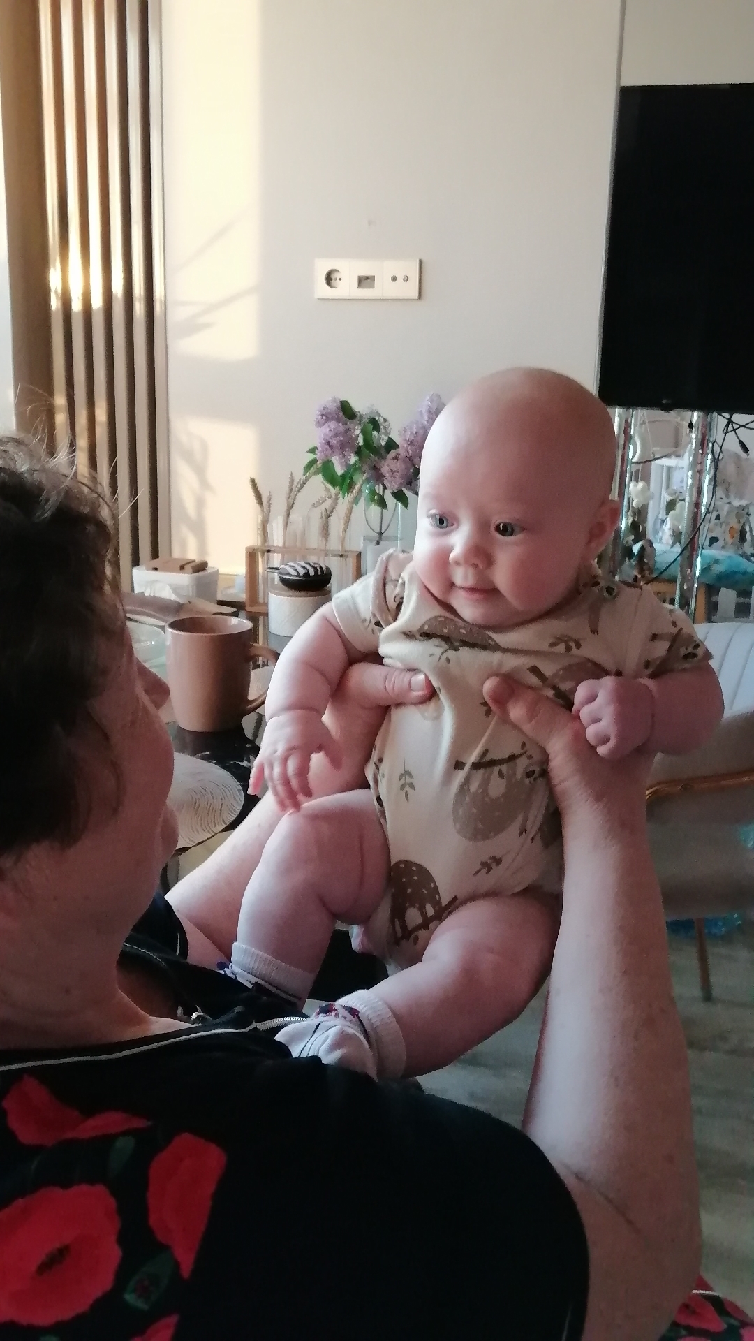 A person's arms hold a baby in the air. The baby is facing the camera and is wearing a light-colored bodysuit with a pattern of sloths and mushrooms. The baby has light blue eyes and chubby cheeks. The person holding the baby is only partially visible, from the chest down, and appears to be wearing a black top with a red floral pattern.
The scene is indoors, with a bright wall and vertical blinds in the background. A table with a cup and some decorative items is visible to the left. Sunlight streams through the blinds, suggesting it might be daytime. In the background, there is a television screen and furniture. The overall atmosphere seems warm and intimate, as the person is interacting playfully with the baby. There is no visible text in the image.