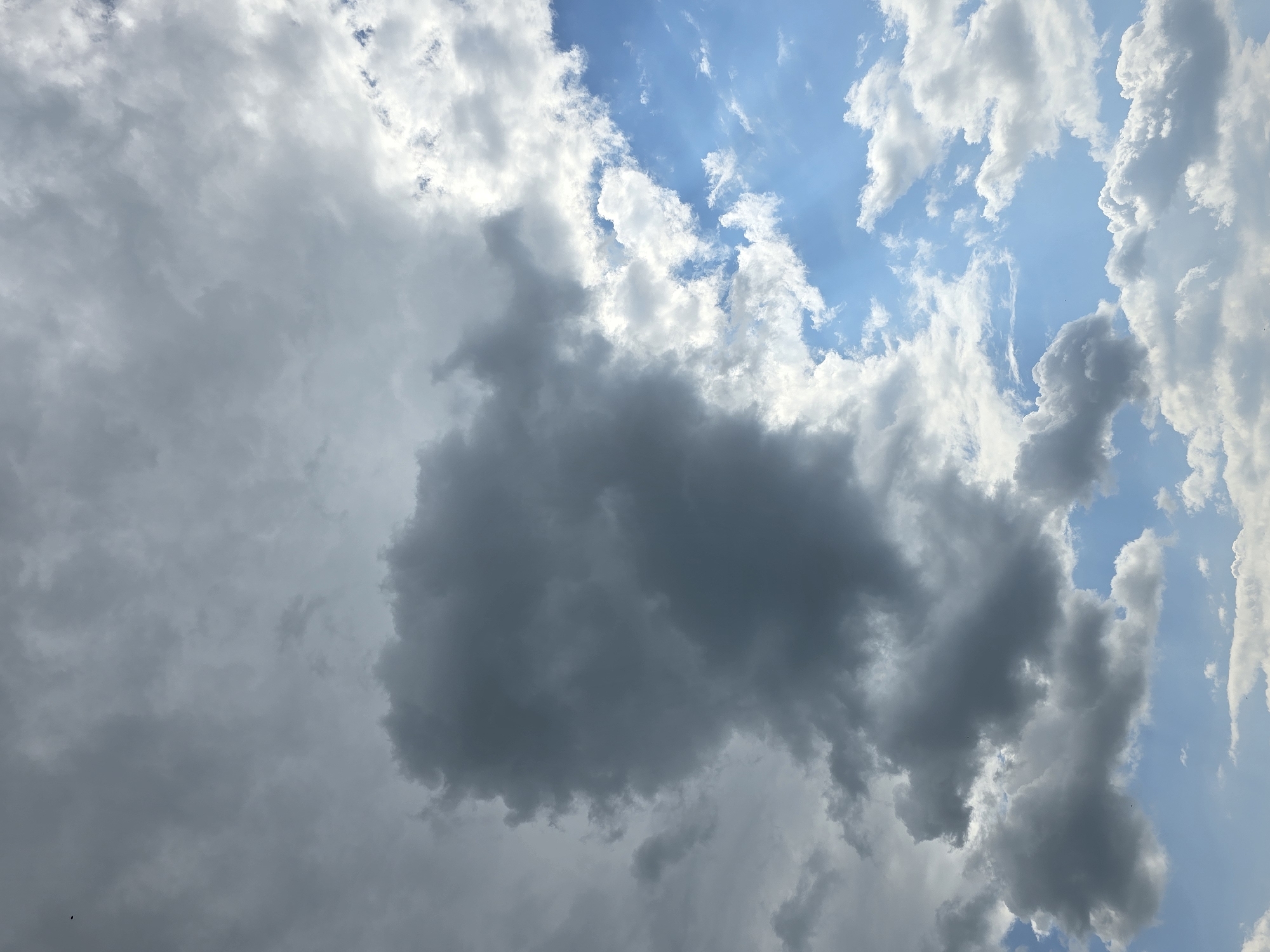 The image shows a sky filled with various types of clouds. There are large, dark gray storm clouds dominating the left side and center of the frame, with lighter, fluffy white clouds scattered throughout the right and bottom sections. Patches of bright blue sky are visible between the clouds, particularly on the right. The lighting suggests it is daytime, with sunlight filtering through some of the thinner clouds, creating highlights. There are no visible people, structures, or geographical landmarks within the image that would specifically indicate the location as Ермолаево, Russia. The scene is a natural sky formation.