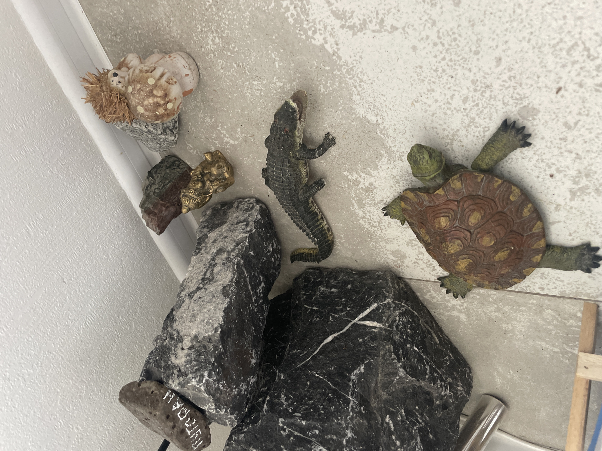 The image shows a collection of figurines on a tiled surface. From left to right, there is a hedgehog figurine on a stone, a gold-colored figurine, a green alligator figurine, and a brown and green turtle figurine. Below the figurines are two large rocks, with a smaller rock beneath the left rock that contains white lettering. The surface appears to be a part of a bathroom counter and, due to the white lettering on the rock (Moydari), is likely a scene in the city of Krasnoyarsk, Russia.