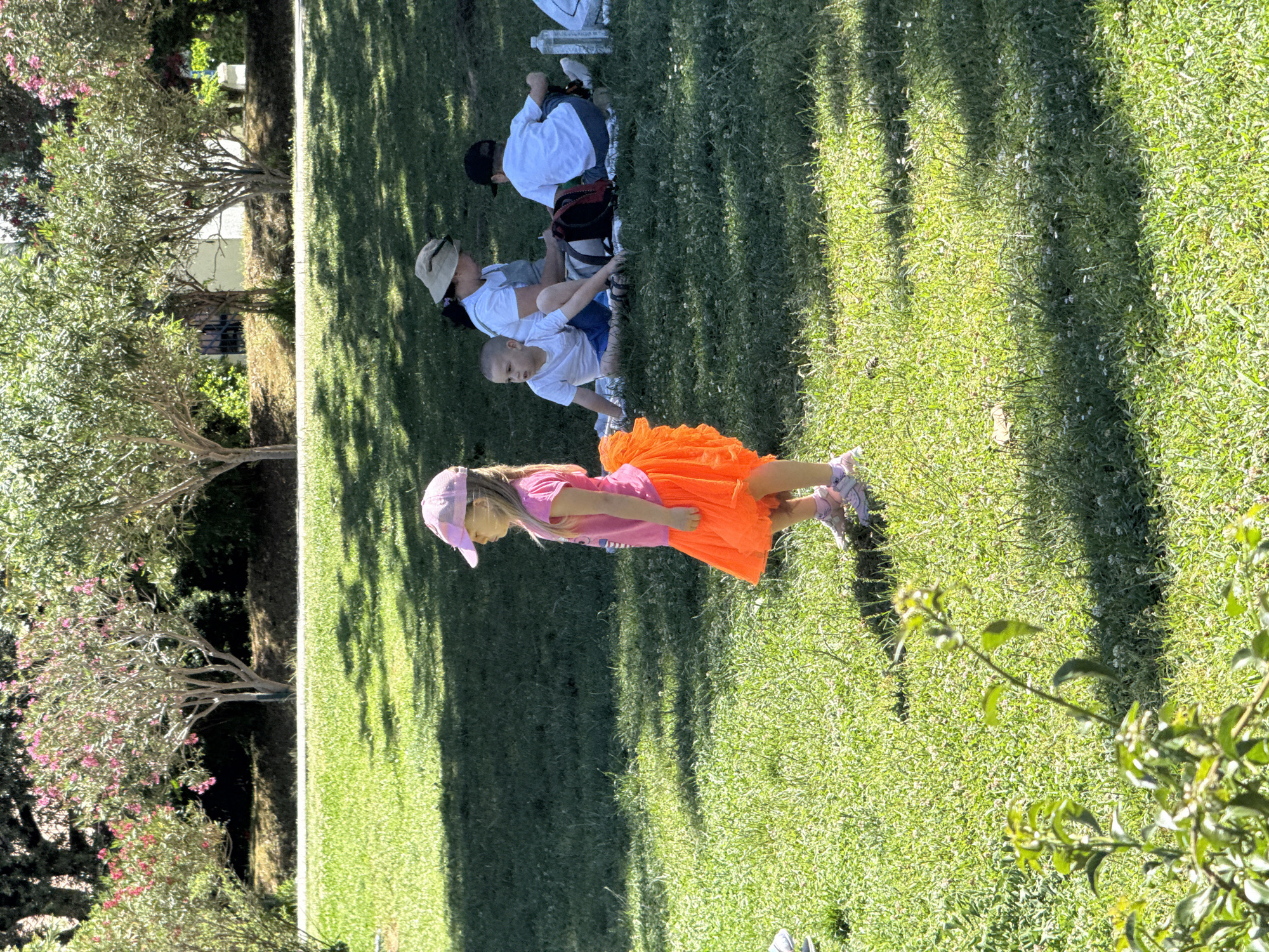 The image depicts a grassy area, likely a park or lawn, in bright daylight. A young girl wearing a pink shirt, an orange tutu, a pink hat, and pink shoes stands in the foreground. Further back, three individuals are sitting on the grass, appearing to be engaged in an activity; one wears a white shirt and a baseball cap, and one wears a white shirt and a tan bucket hat. In the background is a tree, and white buildings can be seen through the tree branches. This scene is likely in or around Budva, Montenegro, based on the vegetation, architecture, and overall environment.