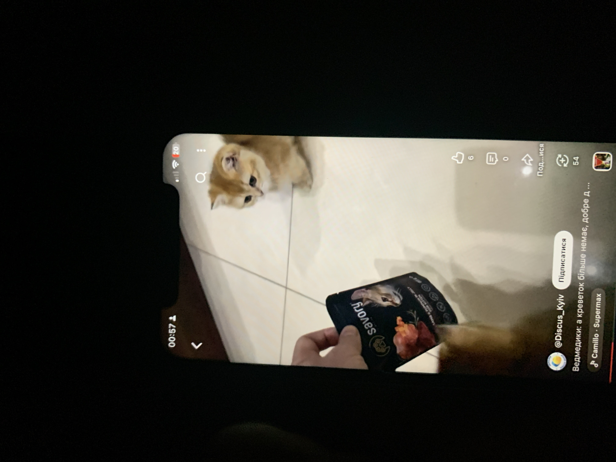 A TikTok video is displayed on a smartphone screen in a dark environment. The video shows a small, golden kitten looking down from a white tiled floor. In the foreground, a hand holds a black pouch of "savory" cat food. The screen displays typical social media interface elements: a timer reading "00:57", a back arrow, signal strength and battery indicators, a search icon, a three-dot menu, a like button with a count of "6", a comment icon with a count of "0", a share icon, a "Follow" button, and a music track indicator. The username "@Discus_Kyiv" and a caption in Ukrainian are visible: "Ведмедики: а креветок більше немає, добре д...". The music is identified as "Camillo - Supermax". There is no indication of the location being Zhmerynka, Ukraine.