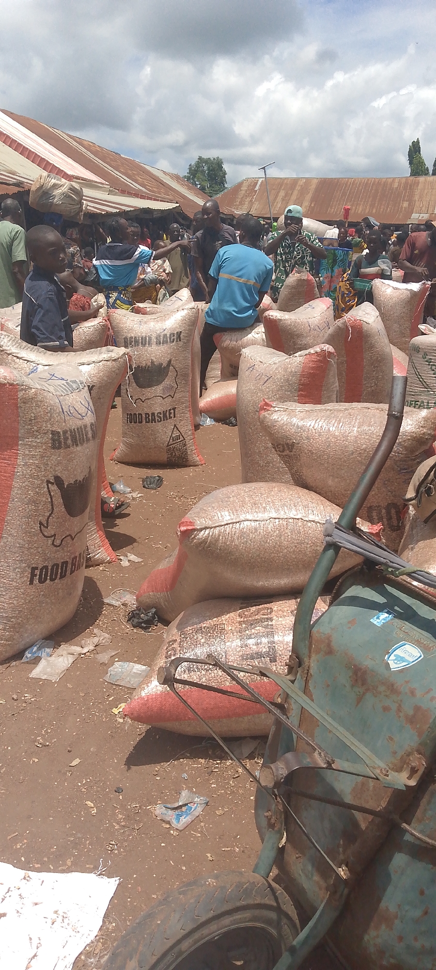 In Tor-Donga, Nigeria, an outdoor market bustles under a cloudy sky. Stalls with corrugated metal roofs line the background, with people milling about. Dominating the foreground are numerous large sacks of grain, some with visible text such as "BENUE SACK" and "FOOD BASKET." A young boy in a blue shirt stands to the left, looking toward the sacks. A blue wheelbarrow, weathered and rusty, is positioned on the right, with its handles and wheel visible. The ground is dirt, with scattered debris including plastic bags and what appears to be grain. The scene captures the vibrant activity of a Nigerian market, focused on the agricultural produce.