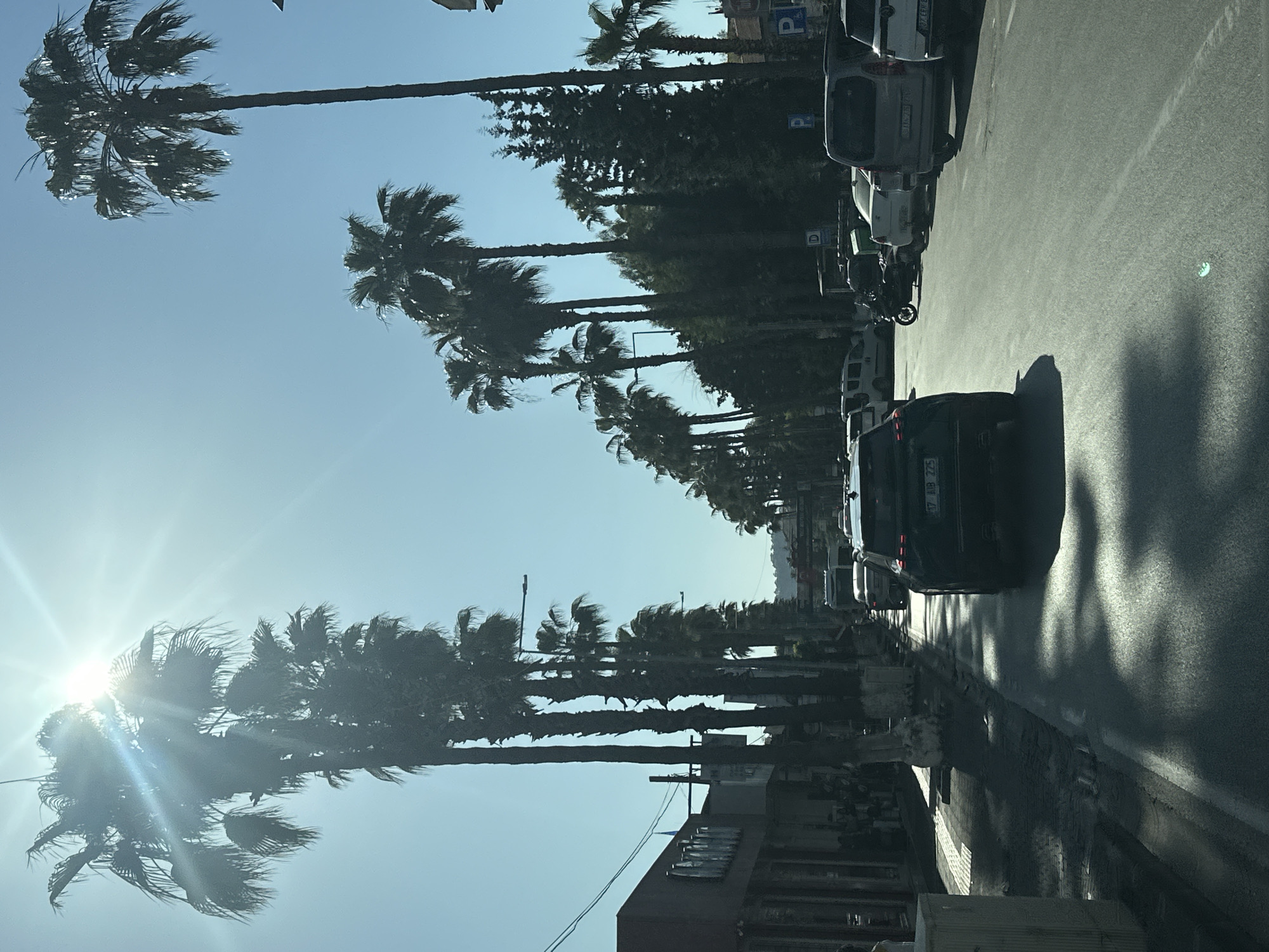 The image depicts a sun-drenched street scene in Fethiye, Turkey, likely captured from a moving vehicle. Numerous tall palm trees with dense fronds line both sides of the asphalt road, their silhouettes prominent against a clear, light blue sky. The sun, low in the sky, shines brightly from the upper left, creating a significant lens flare and long shadows that stretch across the street, suggesting either early morning or late afternoon.
On the right side of the road, several cars are parked alongside the curb, including multiple white vans and a motorcycle visible further down. A dark-colored car is partially visible in the foreground, with a Turkish license plate reading "17 AB 225." Blue "P" parking signs can be seen between the trees. Behind the line of palm trees and other greenery, buildings are partially obscured. On the left side, more palm trees frame the view, with a building in the lower corner bearing a sign that appears to say "otel." The scene portrays a typical sunny day in a Mediterranean town, characterized by the iconic palm trees and visible local details confirming the Fethiye location.