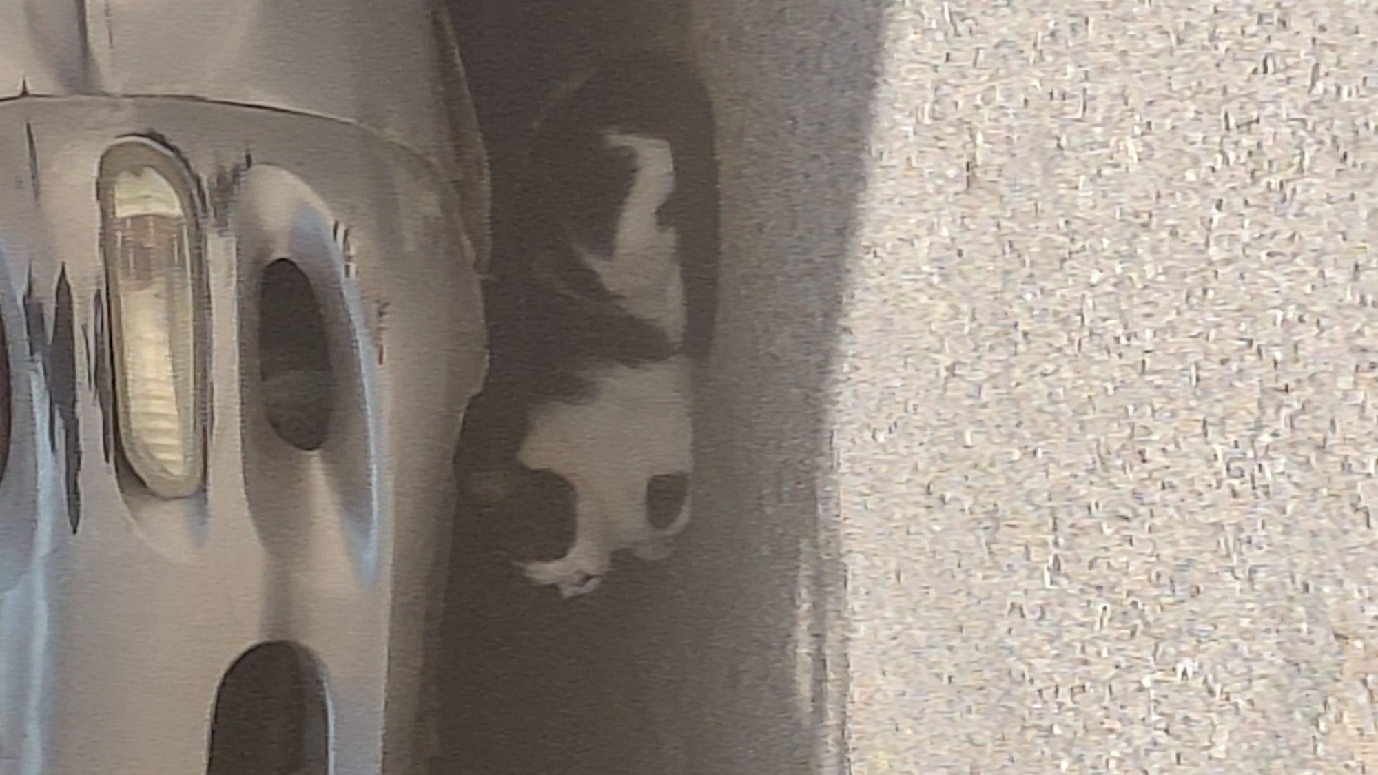 A black and white cat is resting underneath a car, likely for shade or shelter. The car's silver bumper is visible in the upper portion of the image. The ground beneath the car and in the foreground appears to be asphalt or a similar paved surface. The scene suggests an outdoor urban or suburban environment. The image quality is grainy and somewhat blurry, making fine details difficult to discern. The specific location within Aigio, Greece cannot be determined from the visual information provided.