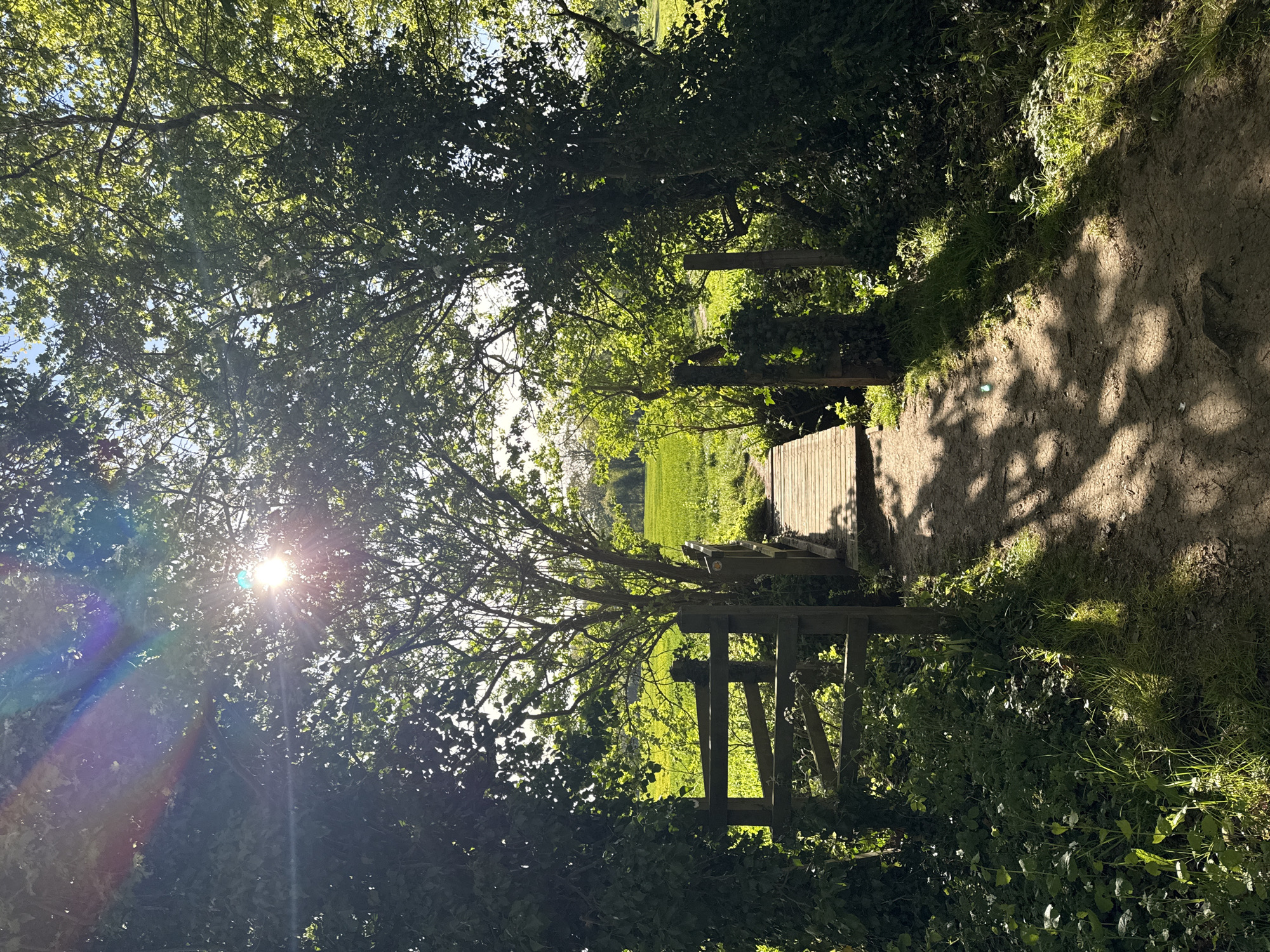 The image displays a sun-dappled woodland path in North Hertfordshire, United Kingdom, leading towards an open field. Thick green foliage and trees frame the scene, with the sun brightly shining through the leaves from the upper-left, creating a prominent lens flare and casting intricate shadows across the path.
The dirt path, visible on the right, appears well-trodden. It leads to a wooden gate or stile, which marks the entrance to a vibrant green field bathed in sunlight. The clear sky visible above the field suggests pleasant weather. The strong sun and long shadows indicate that the photograph was taken on a bright, sunny day, likely in the late morning or early afternoon. The overall atmosphere is peaceful and inviting, typical of a rural or countryside walk. No people or text are visible in the image.
