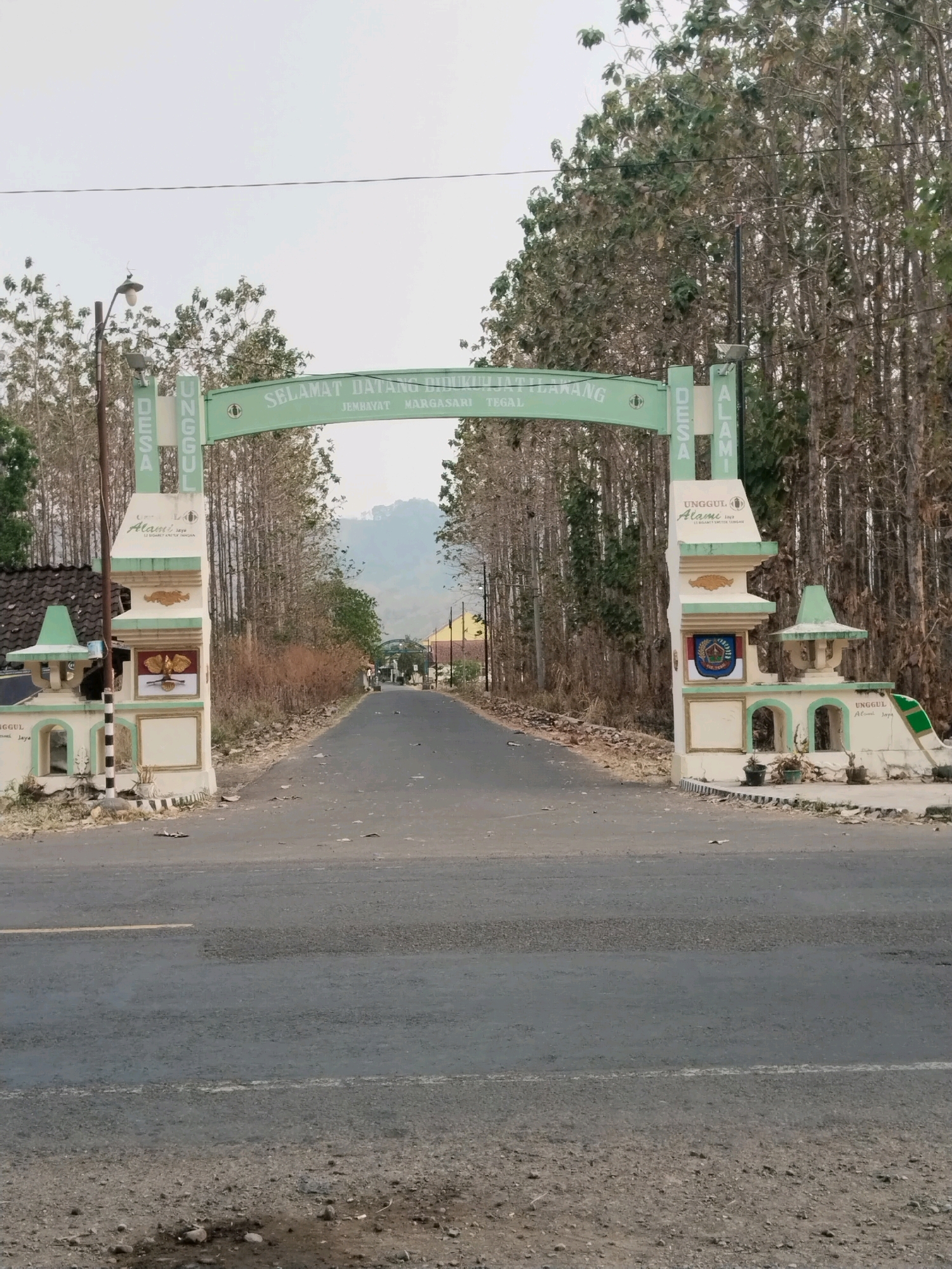 The image shows a road leading through an archway that serves as an entrance to a village. The archway is decorated with green and cream-colored pillars and a banner that reads "SELAMAT DATANG DUSUN ILALANG" and "JEMBATAN MARGASARI". The pillars on either side have decorative emblems and text. The road is paved and shows signs of wear. On either side of the road, there are numerous tall, slender trees with sparse foliage. The ground is covered with dry leaves and dirt. In the distance, a slightly hazy landscape with rolling hills is visible. The sky is overcast. This appears to be the entrance to Dusun Ilalang, a sub-village (dusun) in the Margasari village area of Kaliwungu, Kendal Regency, Indonesia.