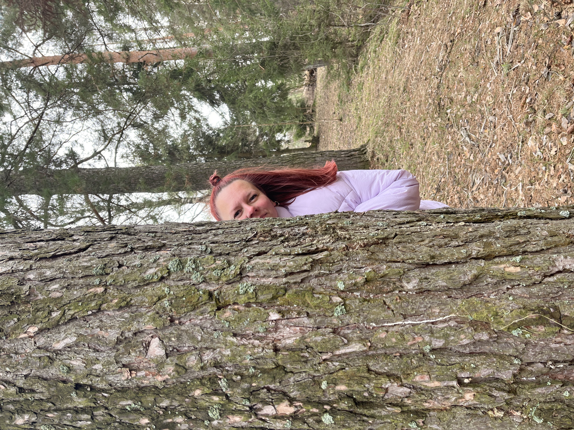 A young woman with red hair and a nose piercing peeks over a large, moss-covered tree trunk, looking towards the viewer with a calm expression. She is wearing a light purple puffer jacket and her red hair is styled in a half-bun. The tree trunk, prominent in the foreground, features rough, textured bark with patches of green lichen.
Behind the woman and the tree trunk, a natural woodland scene unfolds. There are numerous trees, including pines with visible branches and needles, reaching towards a bright, possibly overcast, sky. The ground beyond the fallen trunk is covered with dry, light-brown leaves and sparse green grass, typical of a forest floor. The overall setting is an outdoor wooded area, likely during daytime, with natural light illuminating the scene. No text is visible in the image.