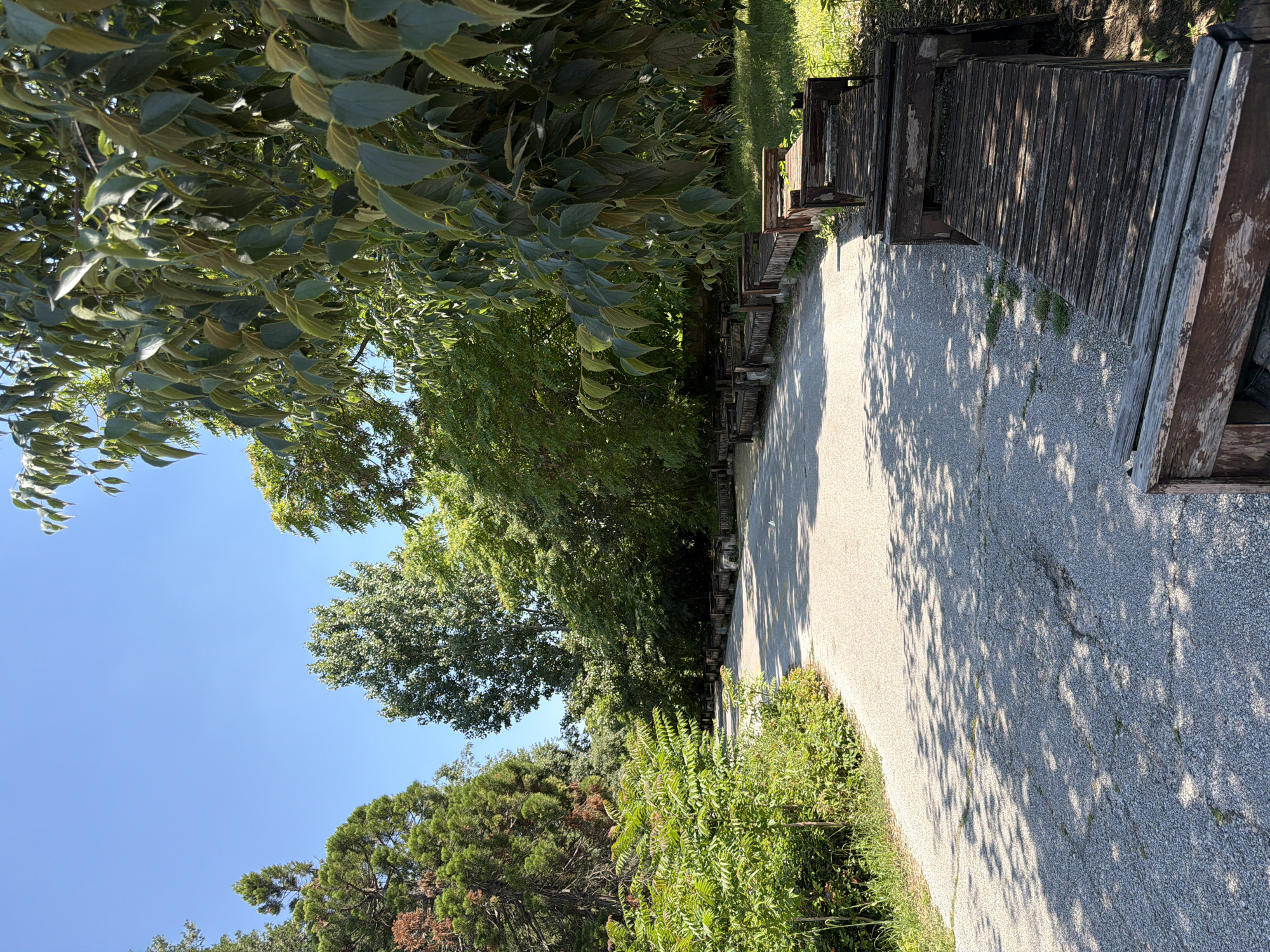 The image depicts a paved pathway curving through a park-like setting with lush green trees and foliage. The pathway is lined on one side with a series of weathered wooden benches, some appearing to be in disrepair. Sunlight filters through the leaves, casting dappled shadows on the ground. The sky is a clear, bright blue. The location is identified as the City Park in Pazardzhik, Bulgaria. There are no people visible in the image.