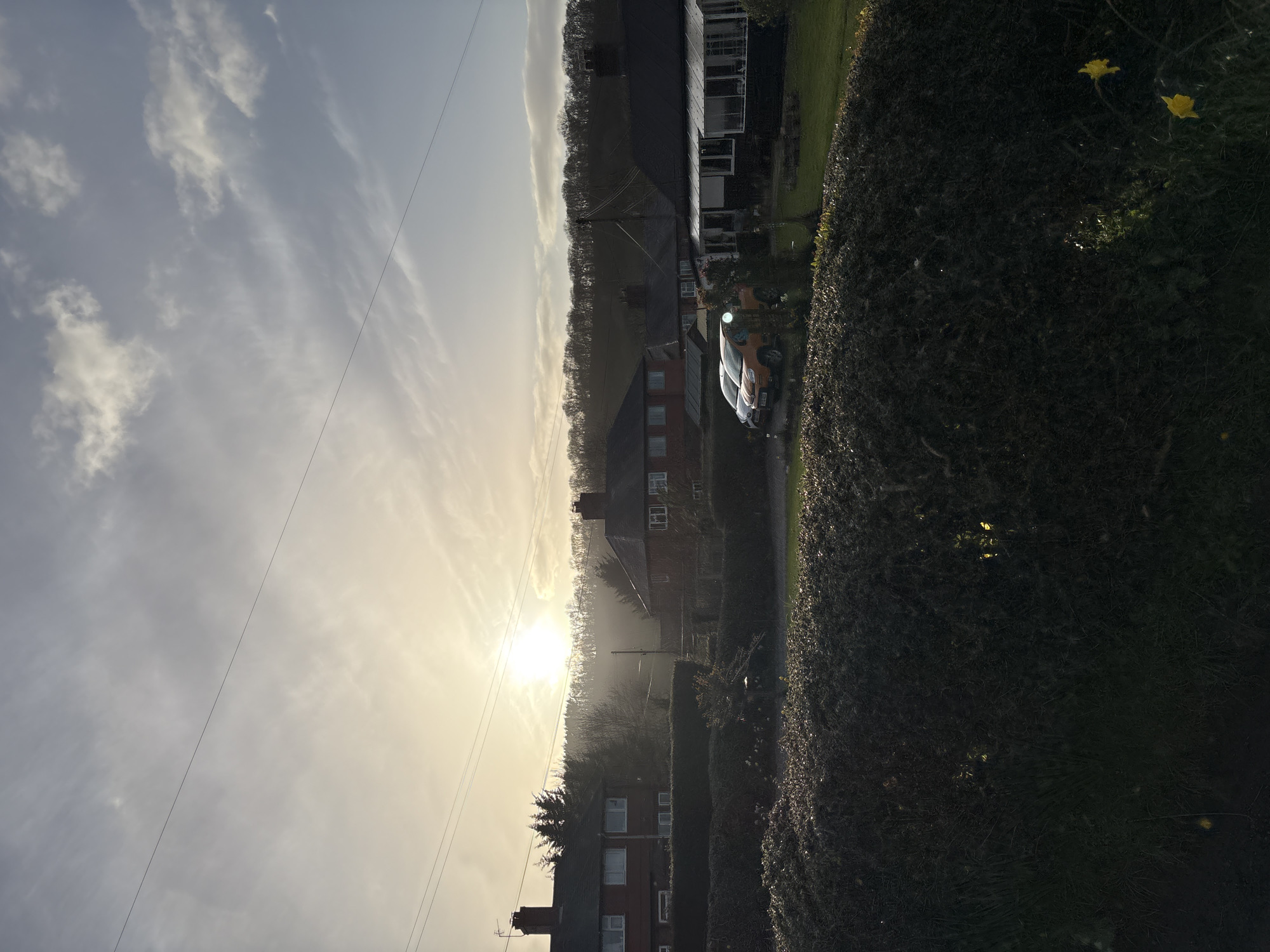 The image depicts a residential street scene in Stiperstones, United Kingdom, under a low-angle sun that suggests either early morning or late afternoon. The sky occupies the upper two-thirds of the frame, showing a bright, diffused sun on the left, casting a strong glare and lens flare. The sky transitions from bright yellow-white near the sun to a pale blue-grey with scattered cirrus and stratocumulus clouds towards the upper right. Multiple thin, dark utility lines traverse the sky horizontally.
The middle ground features a row of two-story residential houses with dark pitched roofs and chimneys. On the left, a house with visible red brickwork and light-colored windows is partially obscured by trees. Further right, other houses are visible, including one with a single-story conservatory or sunroom extension on its front. In front of one of these houses, two compact vehicles are parked on a driveway or road: a bright orange car (possibly a van) and a darker, smaller vehicle partially behind it. A dense, dark treeline forms a prominent horizon across the background, indicating a wooded hill or ridge.
The foreground is dominated by a dark, dense, trimmed hedge that runs across the lower portion of the image. The top surface of the hedge shows some highlights from the low sun. To the bottom right, a patch of green grass is visible, containing at least two yellow daffodils in bloom. No individuals are present in the scene. Overhead utility poles and lines are discernible throughout the residential area.
