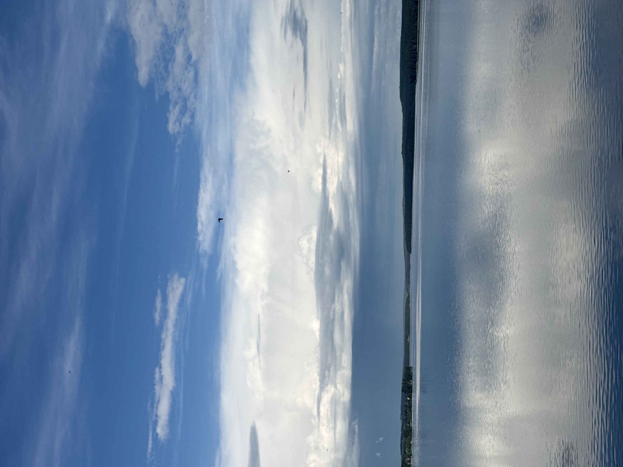 The image shows a landscape featuring a body of water and a sky with clouds. A shoreline is visible along the edge of the water. The sky is a mix of blue and white clouds. The location may be in Votkinsk, Russia, based on the prompt. The water surface reflects the sky's colors and clouds. A dark object, potentially a bird, is visible in the sky. There are trees along the shoreline.