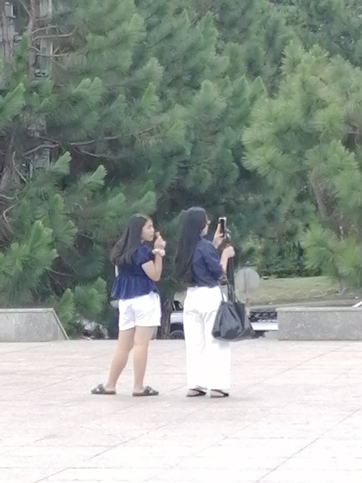 Two young women are standing in an outdoor paved area with a backdrop of pine trees. The woman on the left is wearing a dark blue ruffled top and white shorts, with dark sandals. She is holding a light-colored object to her mouth. The woman on the right is wearing a dark blue top and white pants, with dark sandals. She is holding a black smartphone in her right hand, appearing to take a picture, and carrying a black tote bag over her left shoulder. The ground appears to be paved with light-colored square tiles. In the background, large pine trees with dense green needles form a natural screen. The lighting suggests it is daytime, with some overcast conditions. The location is identified as Da Lat, Vietnam, a city known for its pine forests and cooler climate, often visited by tourists.