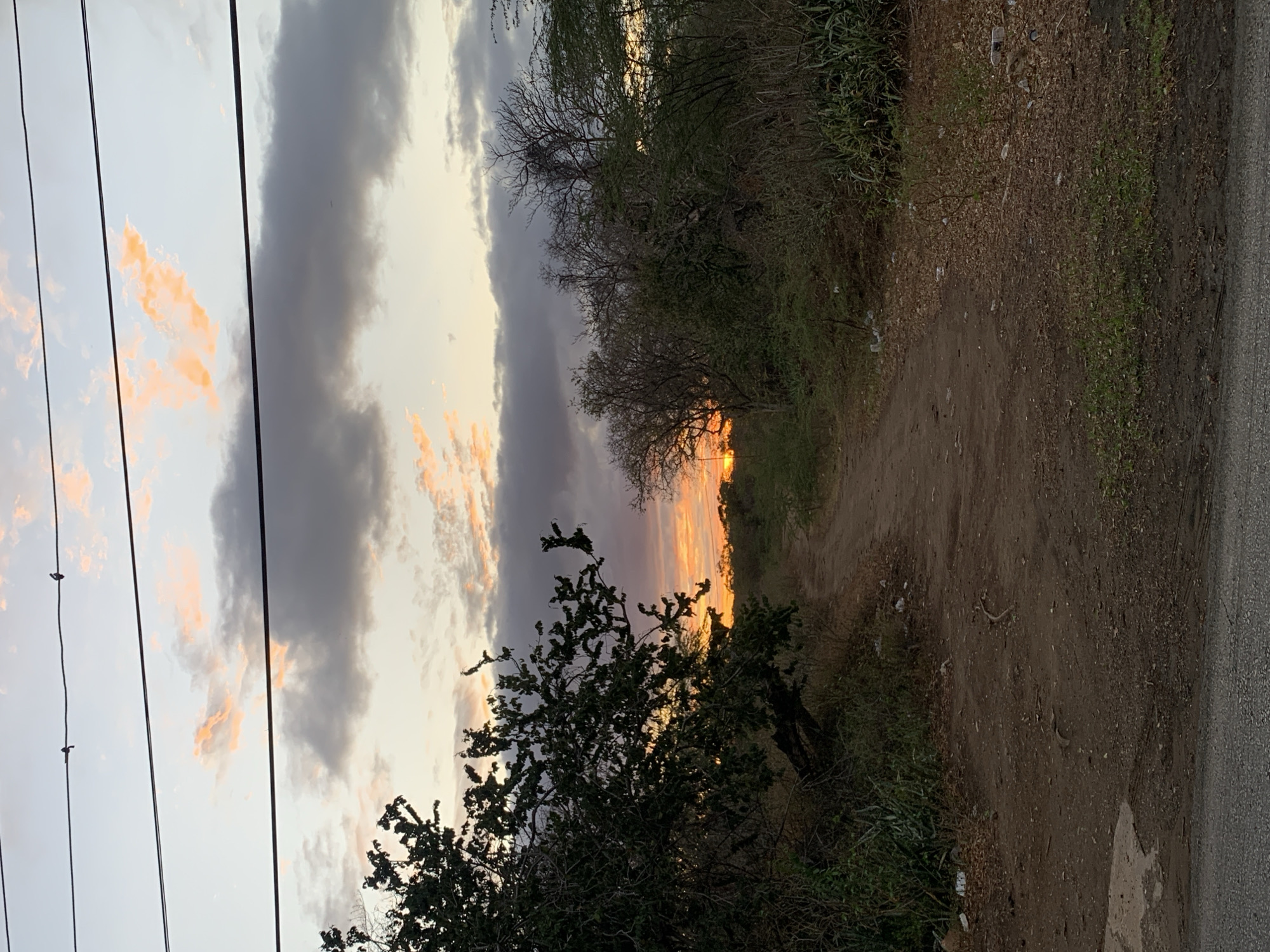 The image depicts a sunset scene in a rural or semi-rural environment, likely near Santa Ana, Venezuela. The time of day is clearly evening, with the sun casting warm, golden-orange and yellow light across the western horizon, illuminating parts of the sky.
The sky is characterized by a mix of clouds; some are dark grey and substantial, while others are lighter and reflect the vibrant hues of the setting sun. Several dark utility lines stretch across the upper left portion of the frame, with at least two small birds perched on them, silhouetted against the brighter sky.
Below the sky, the landscape is dominated by a dense array of trees and bushes. Many trees, especially those further back, appear somewhat bare or have sparse foliage, while others in the foreground are fuller and greener. The trees cast dark silhouettes against the glowing sky, emphasizing the twilight atmosphere.
Towards the right side of the image, a dirt path or track winds into the distance, leading towards the brightest part of the sunset. This path is bordered by patches of green grass and scattered dry leaves. Visible along the ground are pieces of discarded litter and debris, indicating human presence. On the far right edge of the frame, a segment of an asphalt road is visible, suggesting the proximity of a more developed area to this rustic path.
The overall scene conveys a blend of natural beauty at dusk and the subtle impact of human activity. There is no visible text in the image.