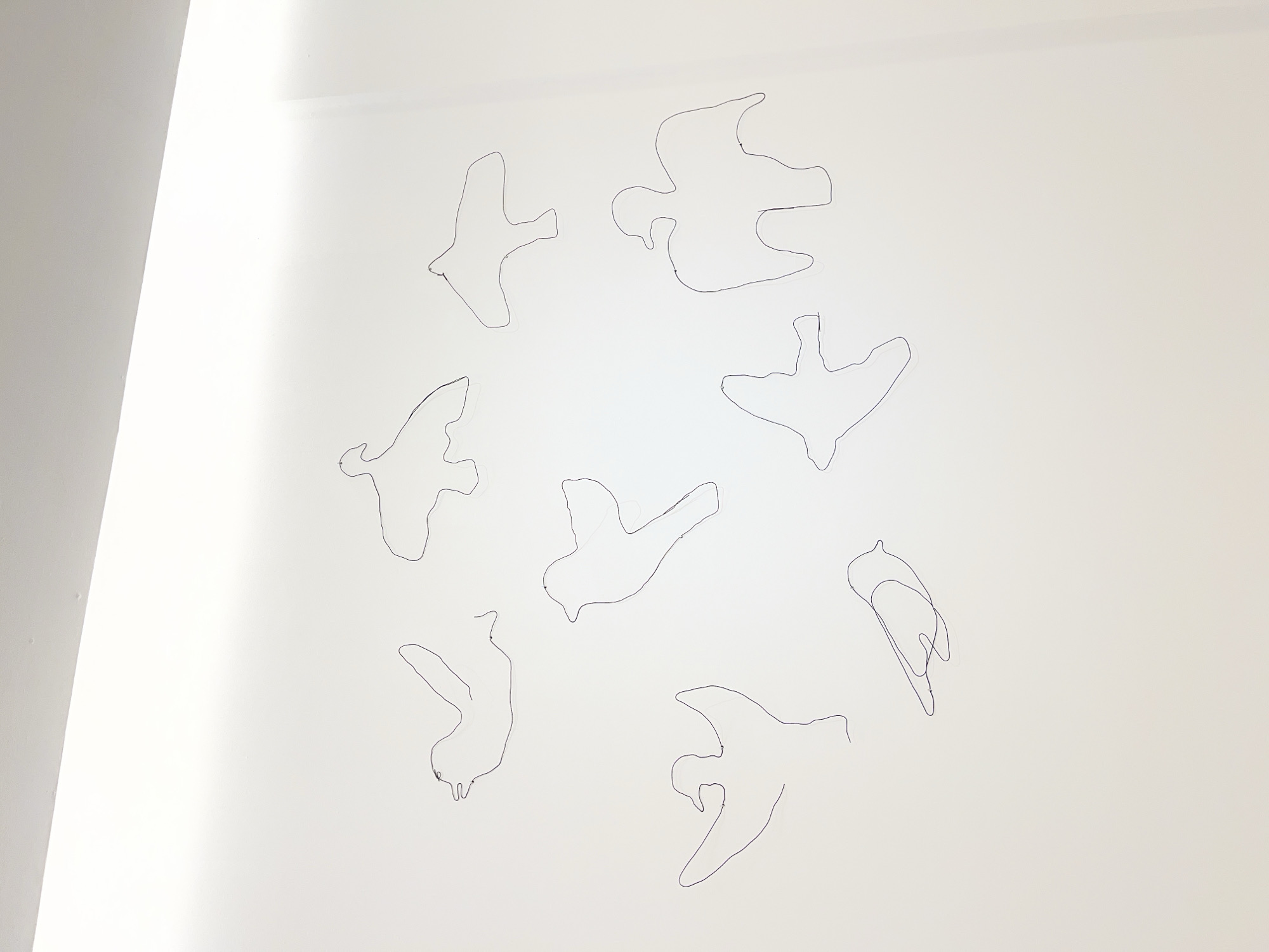 A high-angle, close-up shot shows eight line-drawn bird shapes arranged on a plain white wall. The birds are drawn in a simple, minimalist style with black ink. They are oriented in various directions, seemingly flying or hovering. The background is a stark white, likely a wall. A diagonal white corner is visible to the left of the birds. There is no additional context suggesting the city of Buenos Aires.