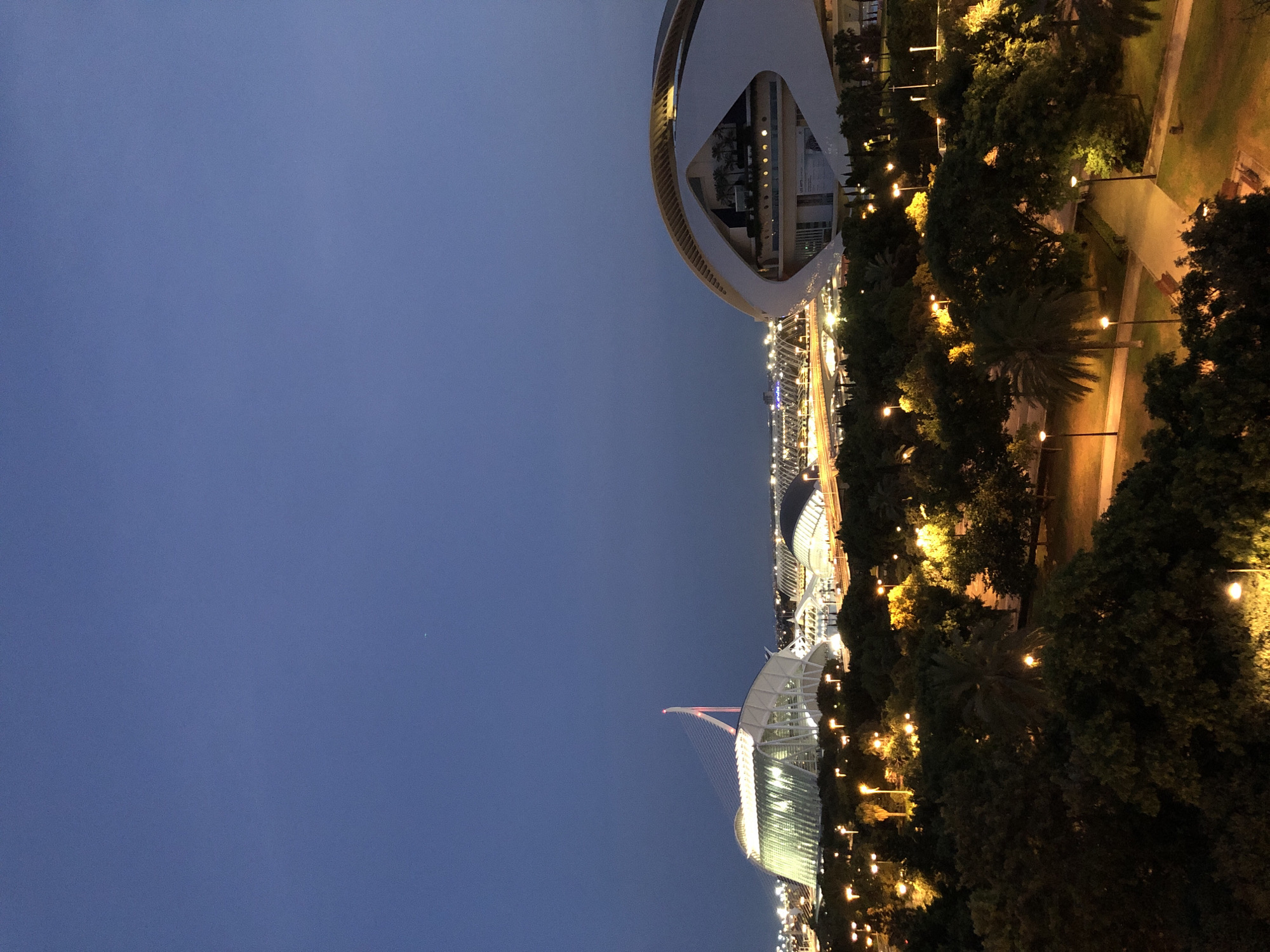 The image captures a dusk or twilight view of the City of Arts and Sciences in Valencia, Spain. Dominating the foreground are lush, dark green trees, with several palm trees interspersed. Numerous streetlights illuminate pathways and park areas within the greenery.
In the mid-ground, various architectural structures of the City of Arts and Sciences are visible. To the left, the distinctive Hemisfèric with its eye-shaped design is partially obscured by trees. Further to the left and slightly behind, the Palau de les Arts Reina Sofía, a large, modern building with a white, curved roof and a prominent central mast structure, is illuminated by interior lights and spotlights. In the distance, other buildings and illuminated structures of the complex stretch across the scene, with roads and bridges also visible.
The sky above is a deep, clear blue, transitioning to a darker hue towards the top of the frame, indicating the late hour. The overall impression is one of a modern, architecturally significant urban landscape at dusk, with an emphasis on the interplay of artificial lighting and the natural elements of the park. There are no people visible in the image.