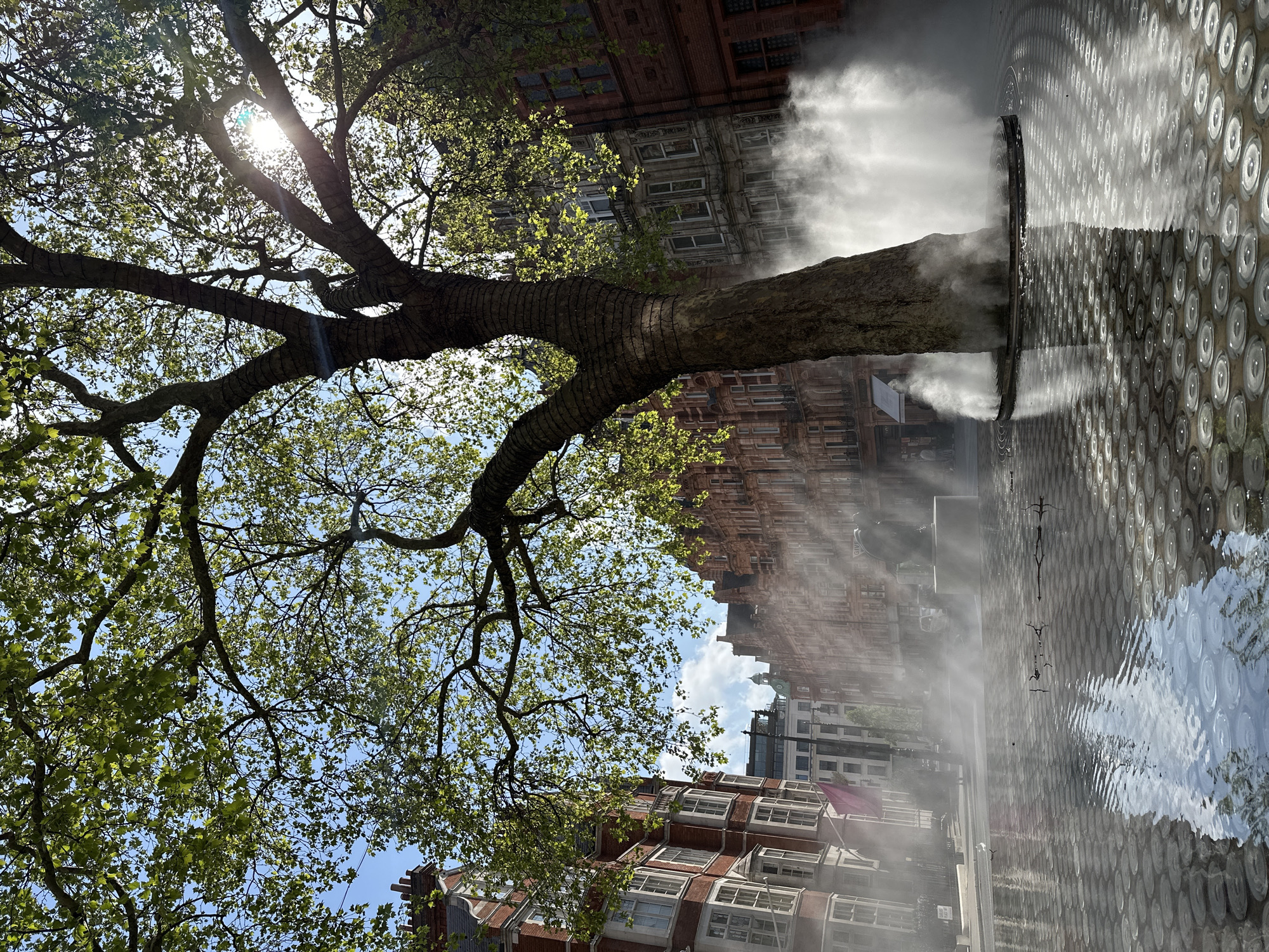 An urban outdoor scene in London, United Kingdom, captured on a bright, sunny day. The photograph is taken from a low angle, looking upwards through the canopy of a large, mature tree with a thick, gnarled trunk and lush green leaves. Sunlight streams through the foliage, creating a noticeable sunburst in the upper left.
To the right of the tree, a public space features a decorative ground surface covered in a mosaic of circular, reflective patterns. This area incorporates an active water feature, with multiple jets emitting a fine mist or fog that drifts across the scene. Puddles of water on the patterned surface reflect the blue sky and clouds.
In the background, behind both the tree and the fountain area, stand several multi-story buildings. These structures display classic architectural styles with red brickwork, numerous windows, and detailed facades, characteristic of London's urban environment. The weather appears clear and pleasant. No legible text is visible within the image.