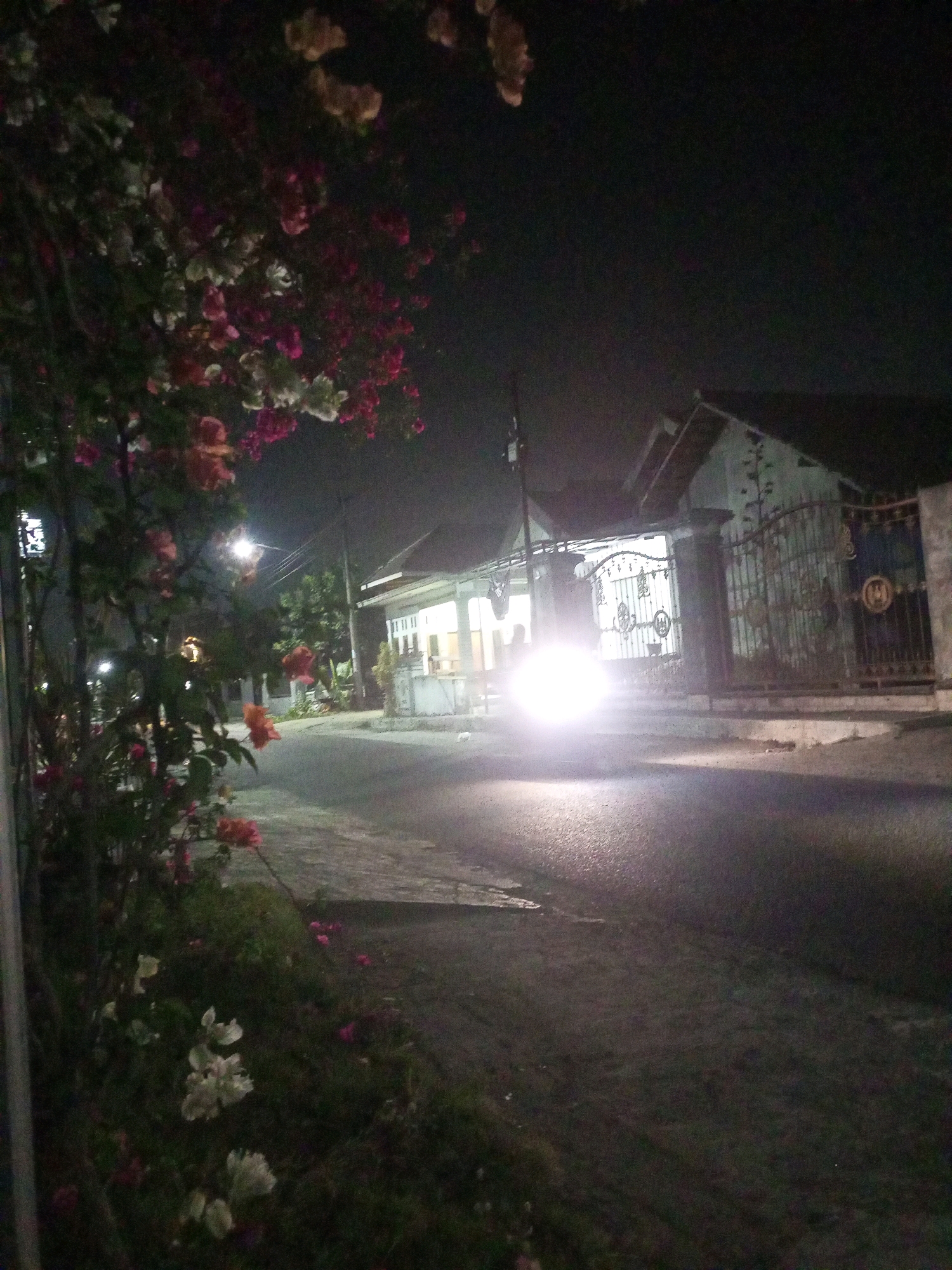 A nighttime outdoor scene in the city of Ngasem, Indonesia depicts a street with a brightly lit vehicle approaching from the right. On the left side of the street, a bush with pink and white flowers is prominently featured, some of which are in bloom. The street itself is paved and appears damp, with a slight sheen reflecting the light. To the right of the street, a residential property is visible, including a house with a well-lit interior and a decorative metal gate. The sky is dark, indicating it is nighttime, and the overall atmosphere is somewhat hazy, possibly due to humidity or light diffusion.