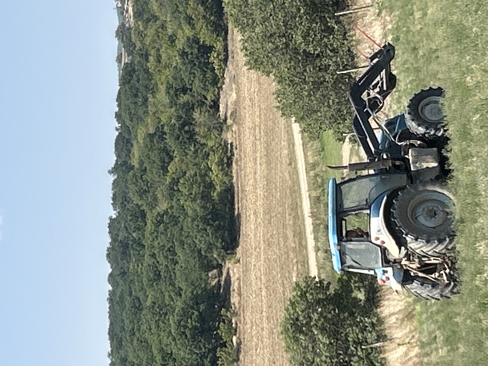 A medium shot captures a blue and white tractor with a front-end loader parked in a grassy field under a clear sky. The tractor is angled slightly to the left, with its large rear tire prominent. A person is visible through the driver's side window of the tractor's cab. The front-end loader extends forward and slightly upward, equipped with two red tines. In the background, a dry, harvested field is bordered by a dense line of green trees. Beyond the trees, the landscape appears to gently slope upwards with more scattered vegetation and buildings visible in the distance. The scene is outdoors and appears to be a rural setting.