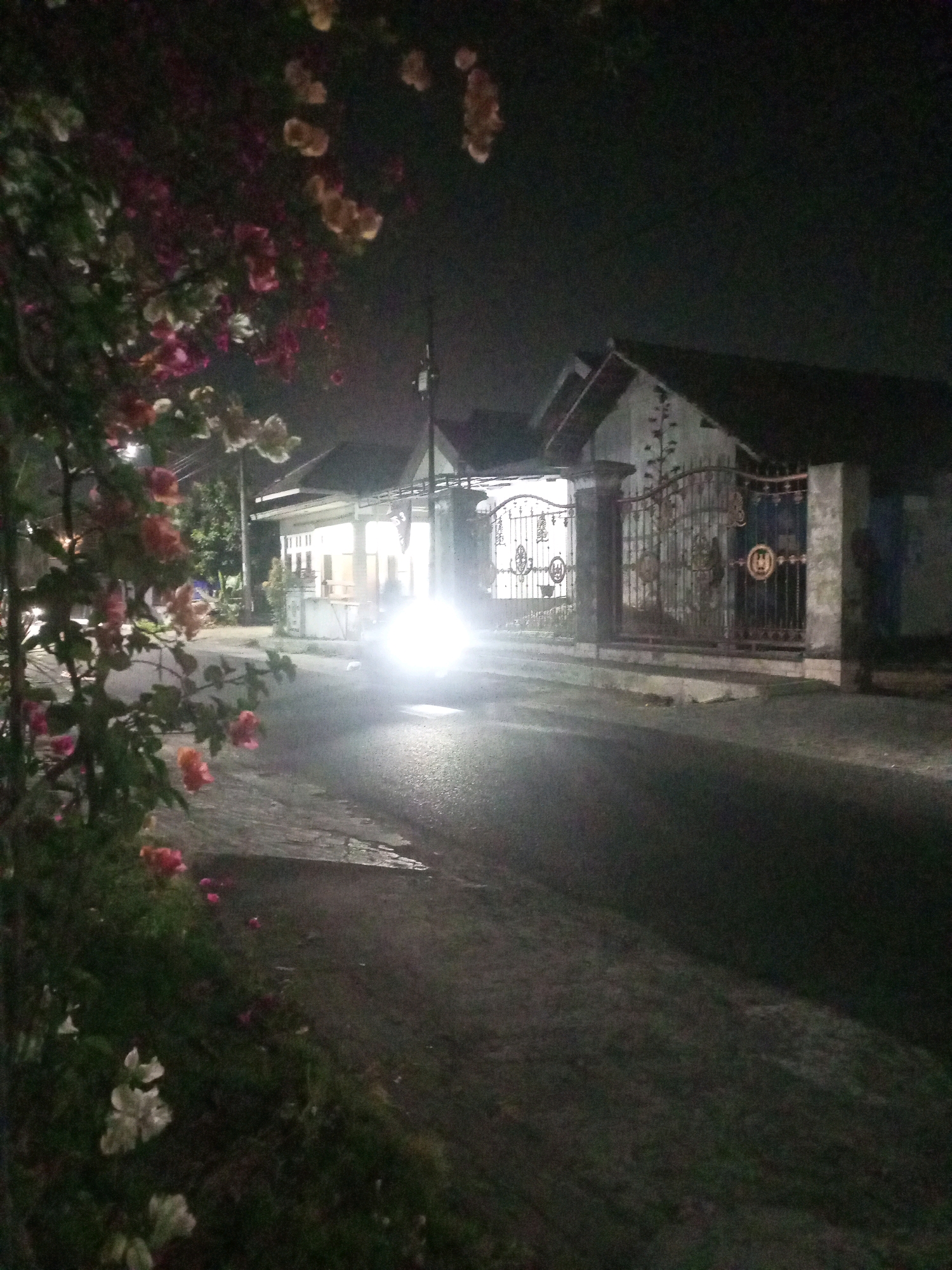 A night-time exterior scene captures a residential street in Ngasem, Indonesia. In the foreground on the left, a flowering bush with pink and white blossoms is visible, with dark foliage extending upwards and into the frame. The street is paved and appears wet, reflecting light. On the right side of the street, a house with a white facade and a dark roof is visible. An ornate metal gate, with intricate patterns and posts, fronts the property. A bright, glaring light emanates from a vehicle on the street, partially obscuring the view of the house and gate. The sky above is dark, with some blurred shapes that could be branches or distant lights. Streetlights are present further down the road.