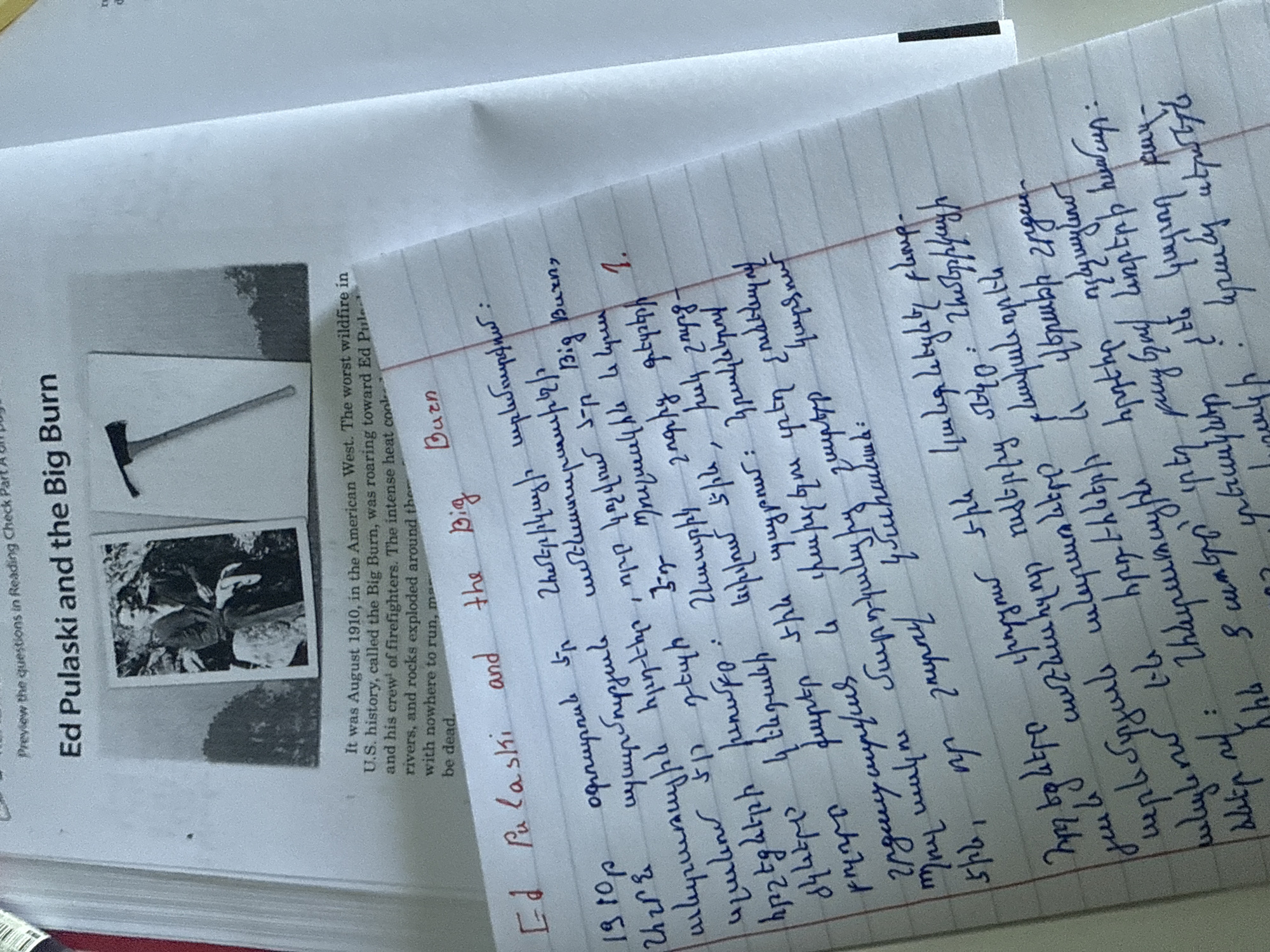 The image displays a close-up of a printed document lying on top of a notebook page with handwritten notes. The printed document, titled "Ed Pulaski and the Big Burn," discusses a historical event. The visible text describes the "Big Burn" as the worst wildfire in U.S. history, occurring in August 1910 in the American West, and mentions intense heat, rivers boiling, and exploding rocks around Ed Pulaski and his crew of firefighters.
The document includes two small grayscale images: one depicting an axe with a long handle, and another showing a person in what appears to be a natural setting, possibly a forest or mountainous area.
Below the printed document, a notebook page contains handwritten notes in blue ink, predominantly in Armenian script, with some English words in red ink. The handwritten text appears to be a translation or summary of the English article, specifically mentioning "Ed Pulaski and the Big Burn" and detailing aspects of the fire such as the "worst wildfire in U.S. history" and the conditions faced by the firefighters. There are also numbered questions and answers in Armenian, for example, "Ի՞նչն էր Big Burn-ի պատճառը:" (What caused the Big Burn?) and "Հրշեջ:" (Firefighter). Some words are cut off at the edge of the notebook page. The overall impression is of a study session focused on the historical wildfire event.