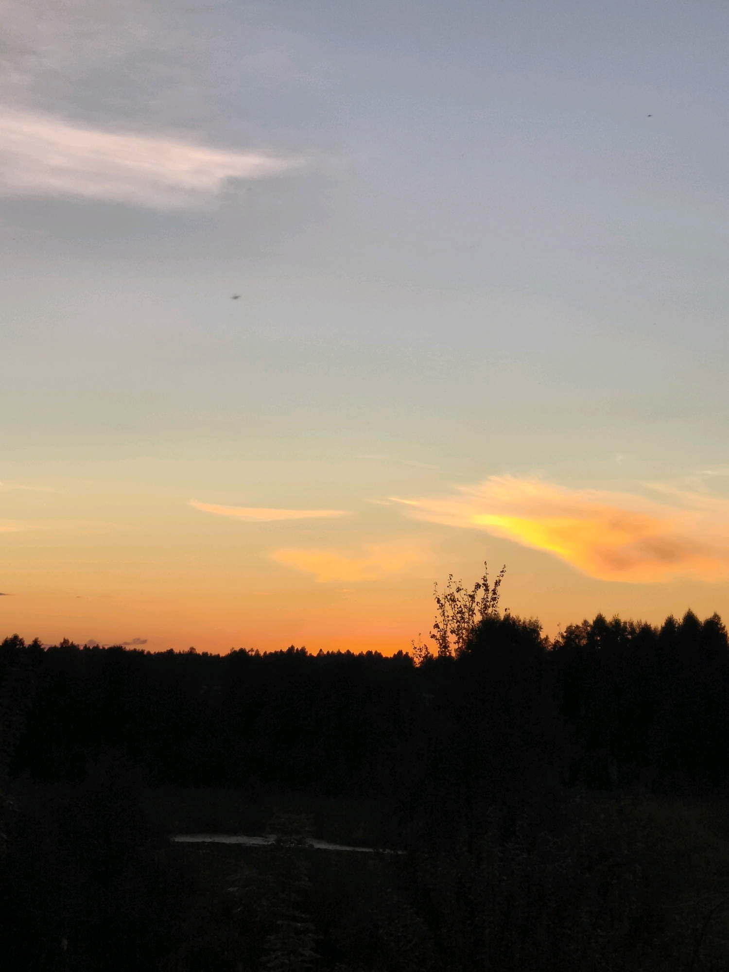 This image depicts a sunset over a wooded area in Gorki rural council, Belarus. The sky transitions from a pale blue at the top to shades of yellow and orange as it nears the horizon. Wispy clouds are present in the upper sky, with a more prominent, brightly lit cloud formation near the center-right. A dark silhouette of trees forms a dense line across the lower half of the image, indicating a forest. In the foreground, the landscape is also dark and appears to be covered in vegetation, with a small, reflective body of water visible near the center. A few individual trees with sparse foliage stand out against the dark treeline. No people or animals are clearly visible.