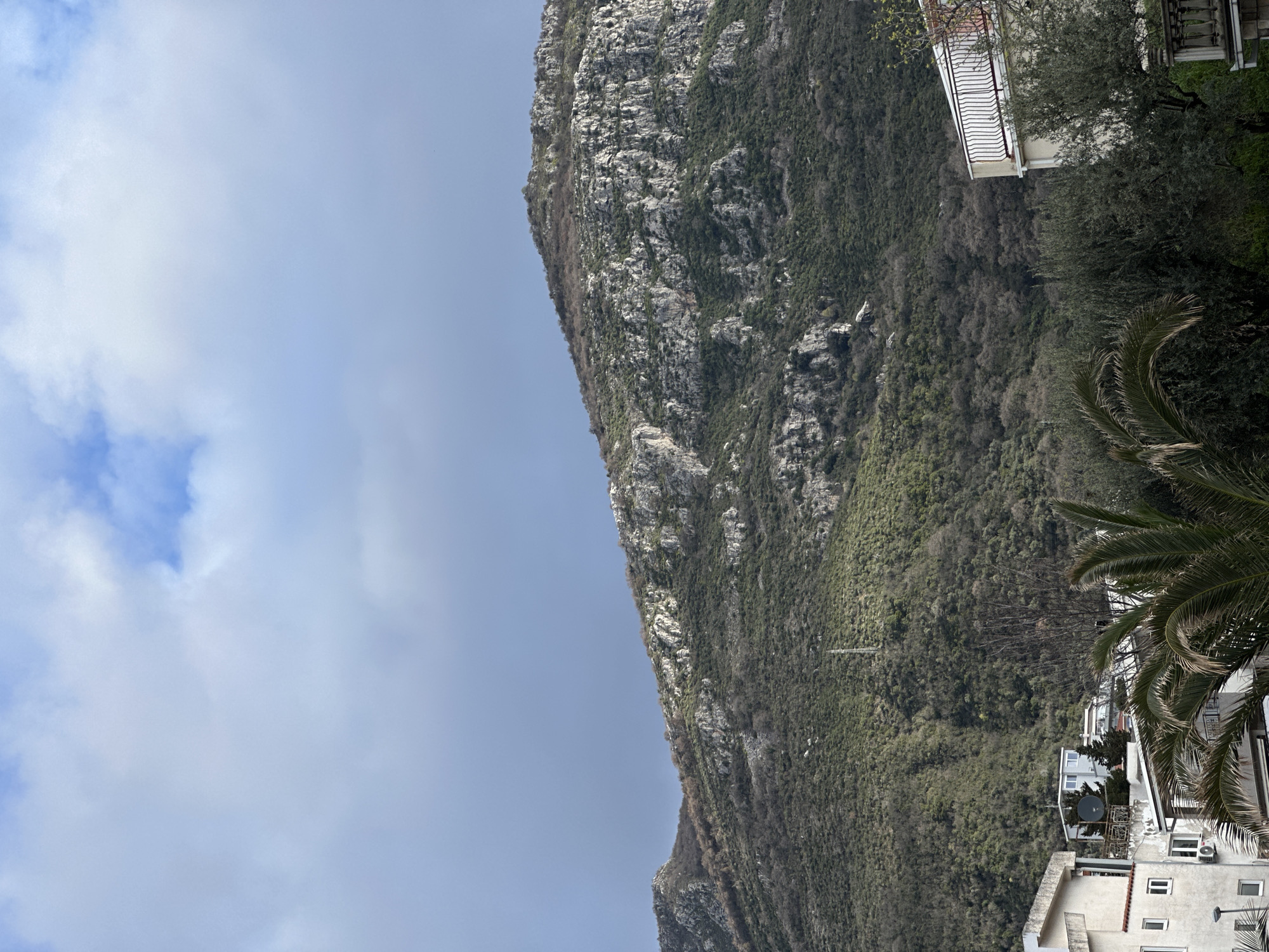 The image presents a daytime scene in the city of Šušanj, Montenegro, dominated by a large, vegetated mountain in the background. The upper third of the frame shows a sky with blue patches and scattered white and grey cumulus clouds.
The central and background portions are occupied by a steep mountain, characterized by irregular grey rock formations interspersed with dense green vegetation, primarily trees and shrubs. Patches of lighter green suggest new growth or different species. A tall, slender lattice tower, consistent with a telecommunication mast, stands on the upper slope of the mountain, positioned slightly left of center.
In the foreground and lower mid-ground, residential architecture and vegetation are present. On the left, a multi-story building with a light-colored facade and rectangular windows is visible. A portion of a street lamp is visible at the lower-left. In the central foreground, a large palm tree with green fronds partially obscures the lower parts of buildings. To the right of the palm tree, dense evergreen foliage is visible. On the right side of the image, a light-colored multi-story building features a balcony with a white, decorative metal railing. Another building with a dark, circular satellite dish and two small coniferous trees on its rooftop is visible in the center-left, nestled against the mountain's base. No individuals or specific actions are discernible.