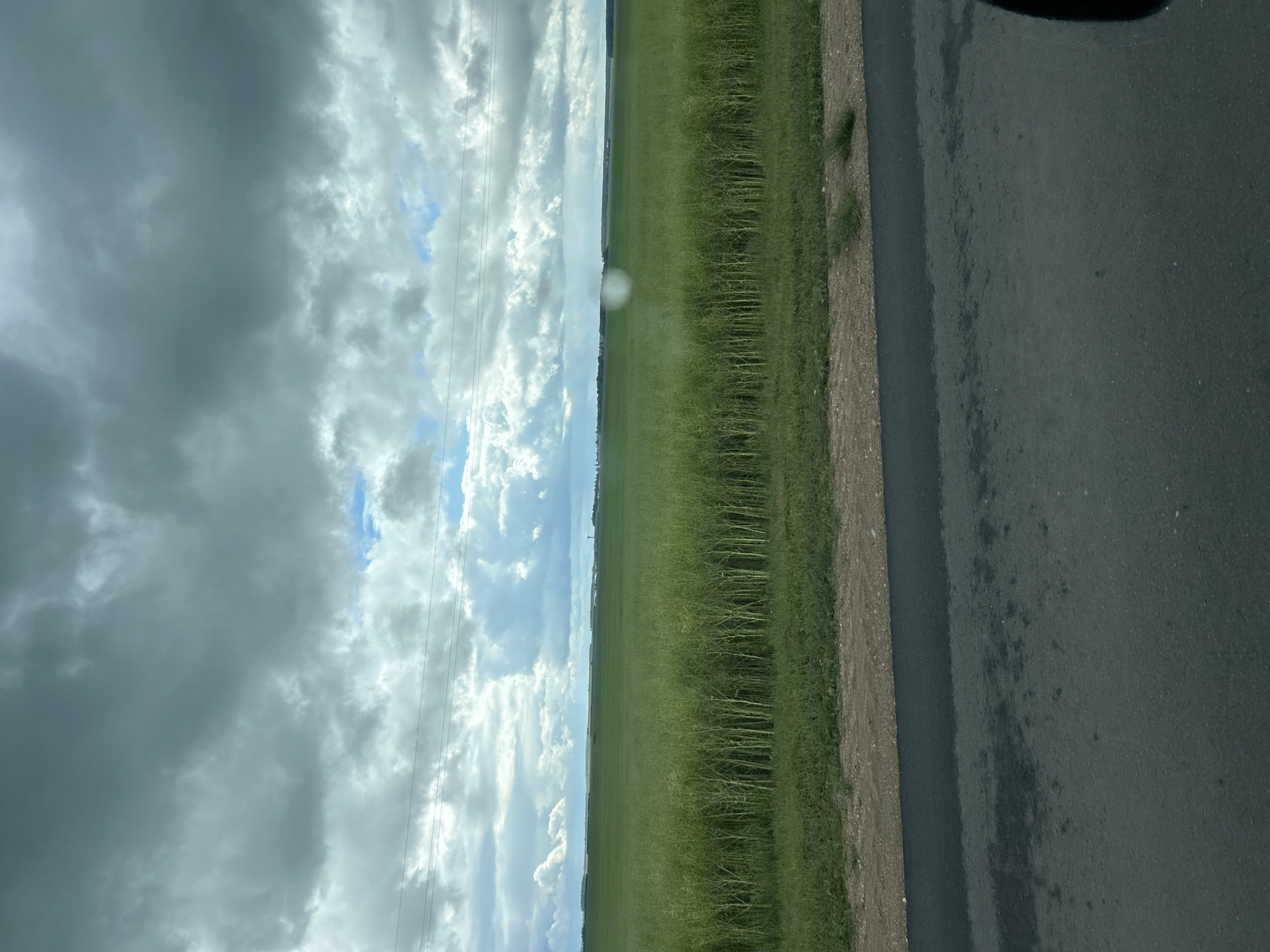 The image depicts a vast green field under a cloudy sky. The field appears to be agricultural, with rows of tall green plants stretching towards the horizon. A dirt road runs along the bottom of the frame, separating the field from the foreground. The sky is filled with dramatic, dark clouds, with patches of blue sky visible between them. A few power lines are faintly visible in the distance, stretching across the landscape. The overall impression is one of a rural, possibly remote, setting. No people or specific landmarks are discernible in the image to pinpoint a precise location within Гудзевіцкі сельскі Савет, Belarus.