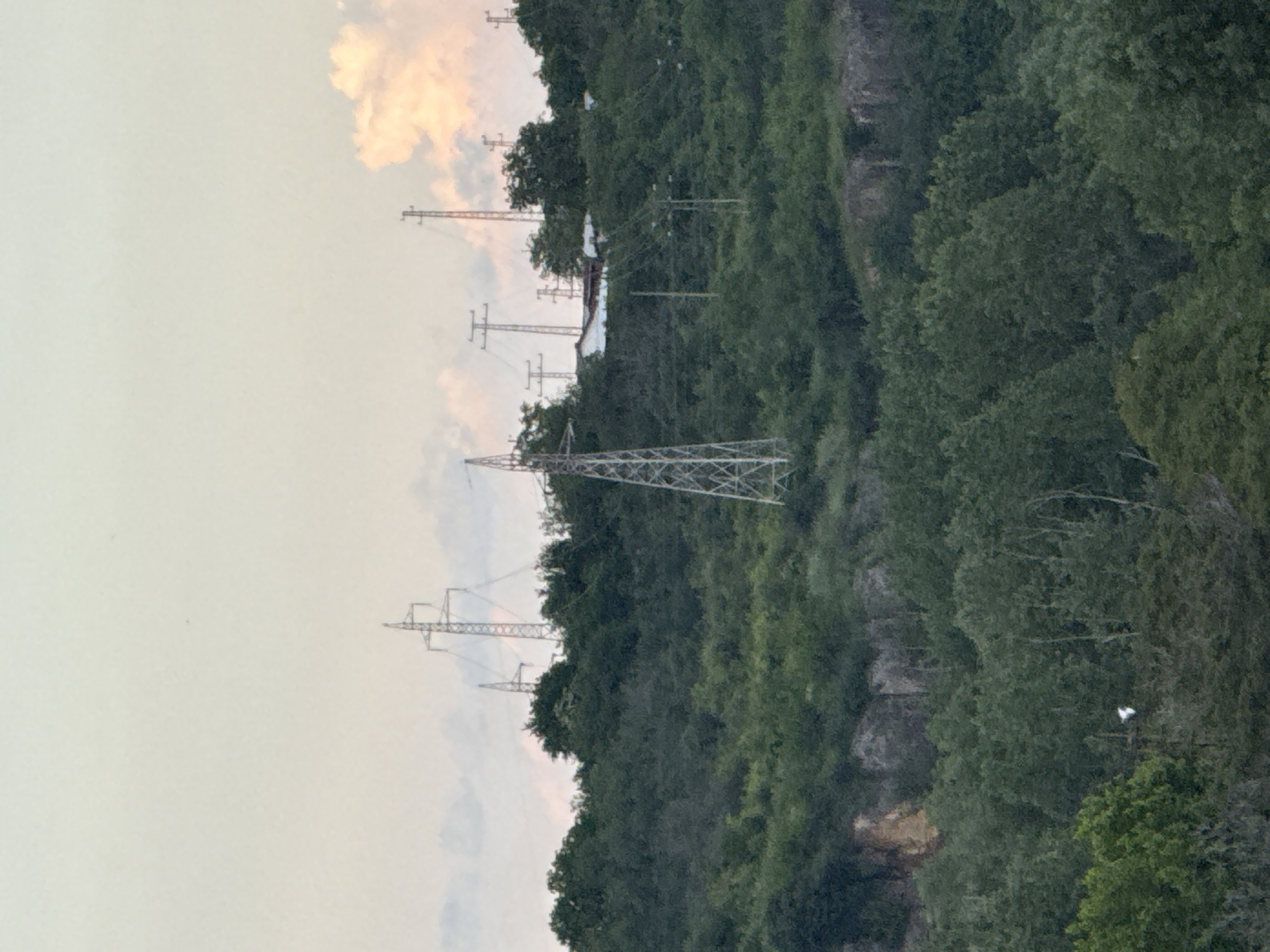 The image shows a landscape view in the city of Lovech, Bulgaria. A series of electrical transmission towers are visible traversing a hillside densely covered in trees. The sky is partly cloudy with a muted color palette.