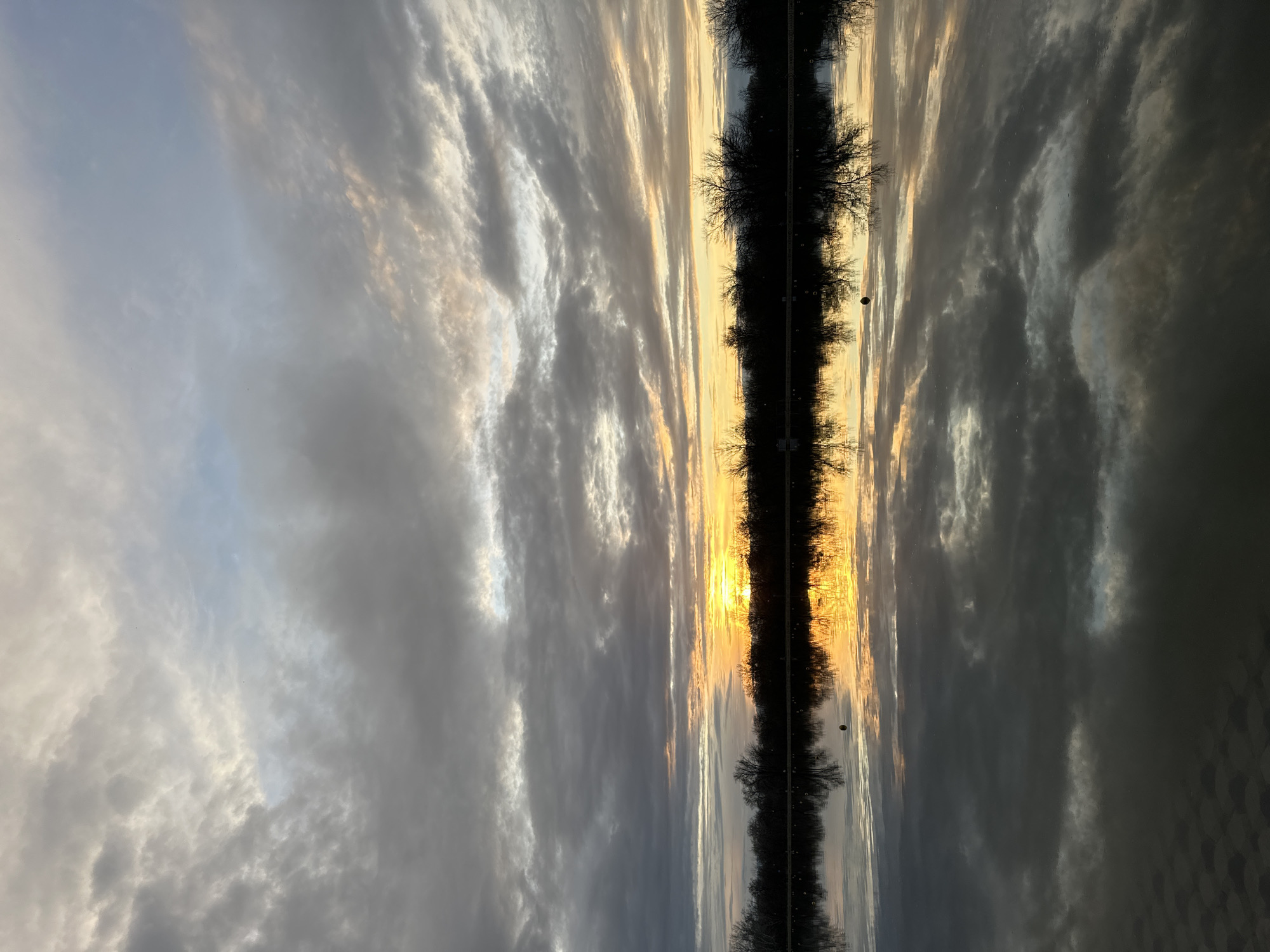 The image depicts a reflection of a sunset over a linear body of water in Plovdiv, Bulgaria. A line of trees appears to bisect the reflection, with the sky and clouds reflected on either side. The left side of the image captures the sky with grey and white clouds. The reflection on the right side is darker, indicating different light conditions or a less reflective surface. A small, round object, possibly a balloon or a lamp, is visible in the middle of the tree line within the reflection. The horizon appears to have a golden hue due to the setting sun.