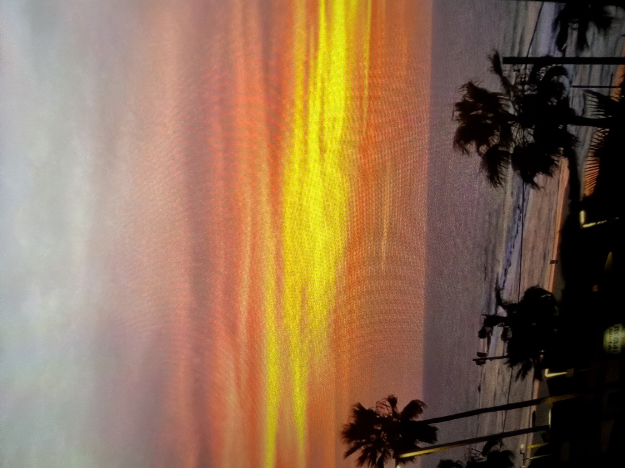 The image depicts a sunset scene at a beach. The sky shows a gradient of colors, transitioning from light grey/white to orange and yellow streaks. Several palm trees are silhouetted against the sky along the shoreline, creating a sense of depth. The ocean water is visible as a dark, reflective surface. Some structures or objects are visible in the lower right of the frame.