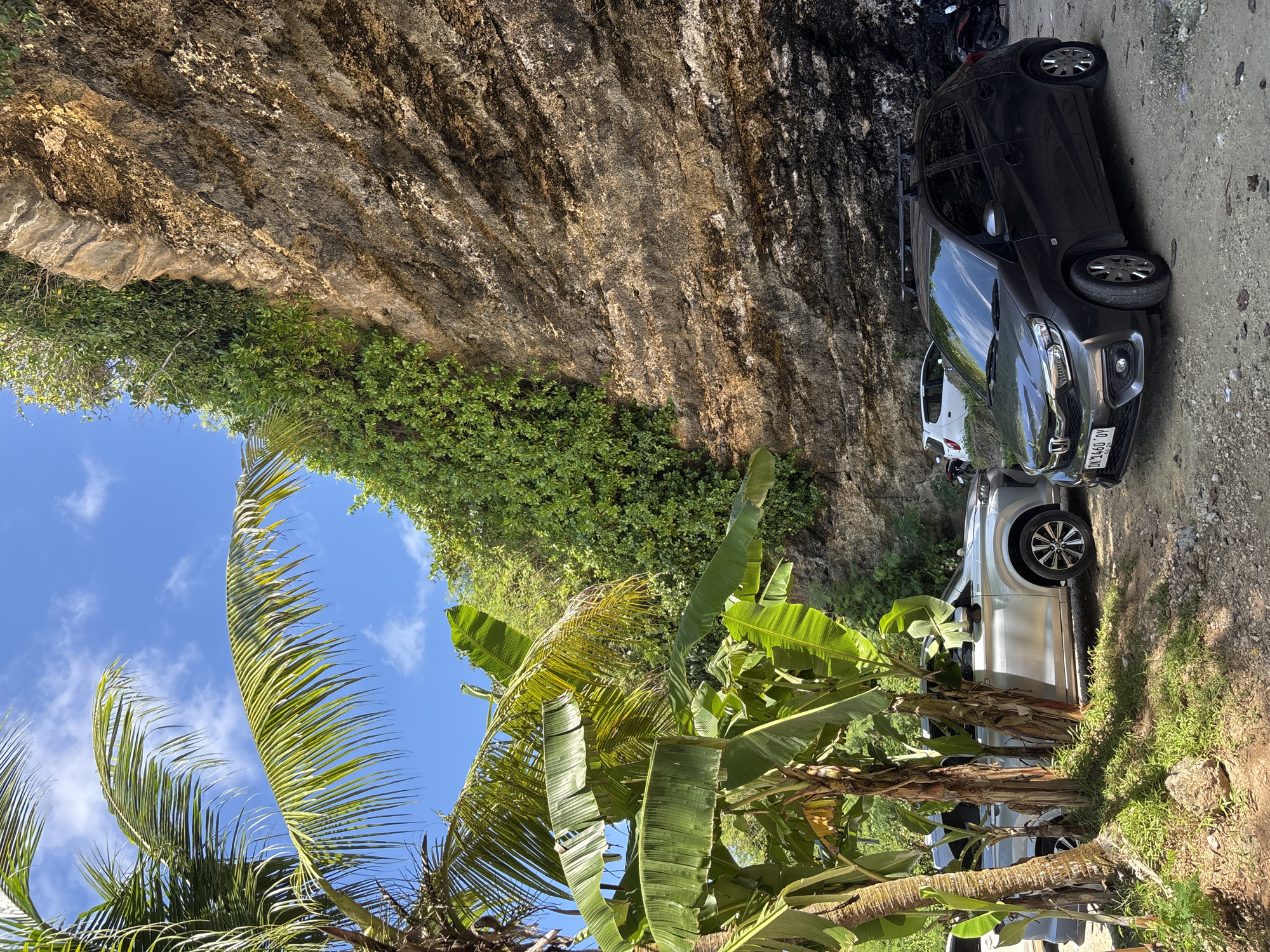 The image depicts a scene in Kutuh, Indonesia. A large, textured cliff face dominates the upper-left portion of the frame, covered in greenery. The lower portion features banana and palm trees, with a clear blue sky visible between the leaves. A line of parked cars and motorbikes is positioned against the base of the cliff along a dirt road. A dark-colored car is closest to the viewer.