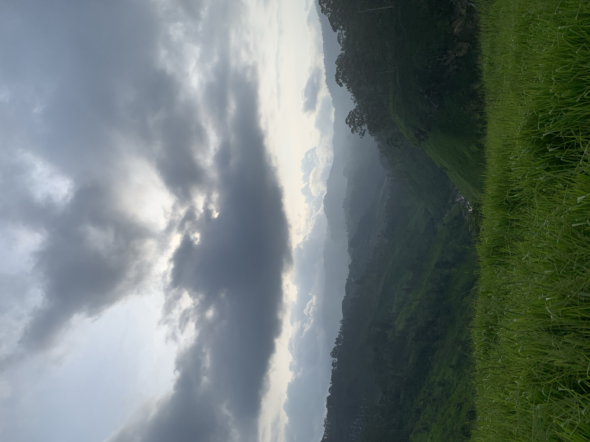 This image depicts a lush green valley in Devon, Sri Lanka, under a dramatic, overcast sky. In the foreground, a dense field of tall, vibrant green grass stretches across the frame, its blades catching the diffused light. Beyond the grass, the terrain slopes downwards into a verdant valley. The valley is characterized by steep, tree-covered hillsides that appear to be terraced in places, suggesting agricultural use, possibly tea plantations. A winding stream or river is visible deep within the valley, its path obscured by the dense foliage. The distant hills recede into a hazy, muted landscape, their forms softened by atmospheric perspective. The sky is filled with heavy, dark gray clouds, with patches of lighter gray and hints of sunlight breaking through in the upper center, creating a somber yet majestic atmosphere. There are no people or animals visible in the scene. The overall impression is one of natural beauty and serene, unspoiled landscape.