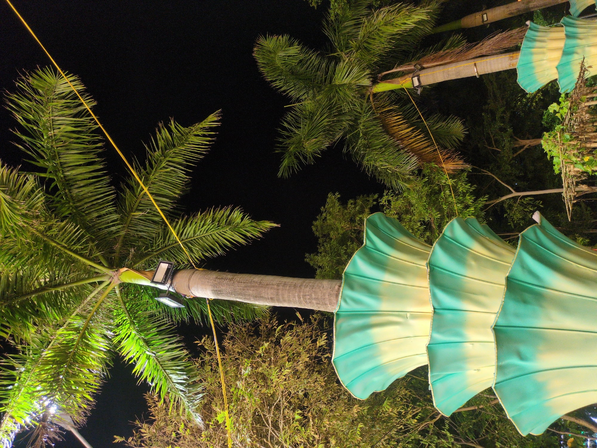 Captured from a low-angle perspective at night in Tuy Hòa, Vietnam, the image showcases lush tropical vegetation. Predominantly visible are two palm trees, one adorned with two rectangular lights clamped to its trunk and a yellow cable extending diagonally across the frame. The foliage appears vibrant green, lit by unseen sources, contrasting against the dark sky. A decorative structure with large, artificial leaves in shades of green and light yellow is prominently featured on the right side of the frame, juxtaposed with other smaller trees and bushes. The overall scene creates a sense of urban tropical ambiance.