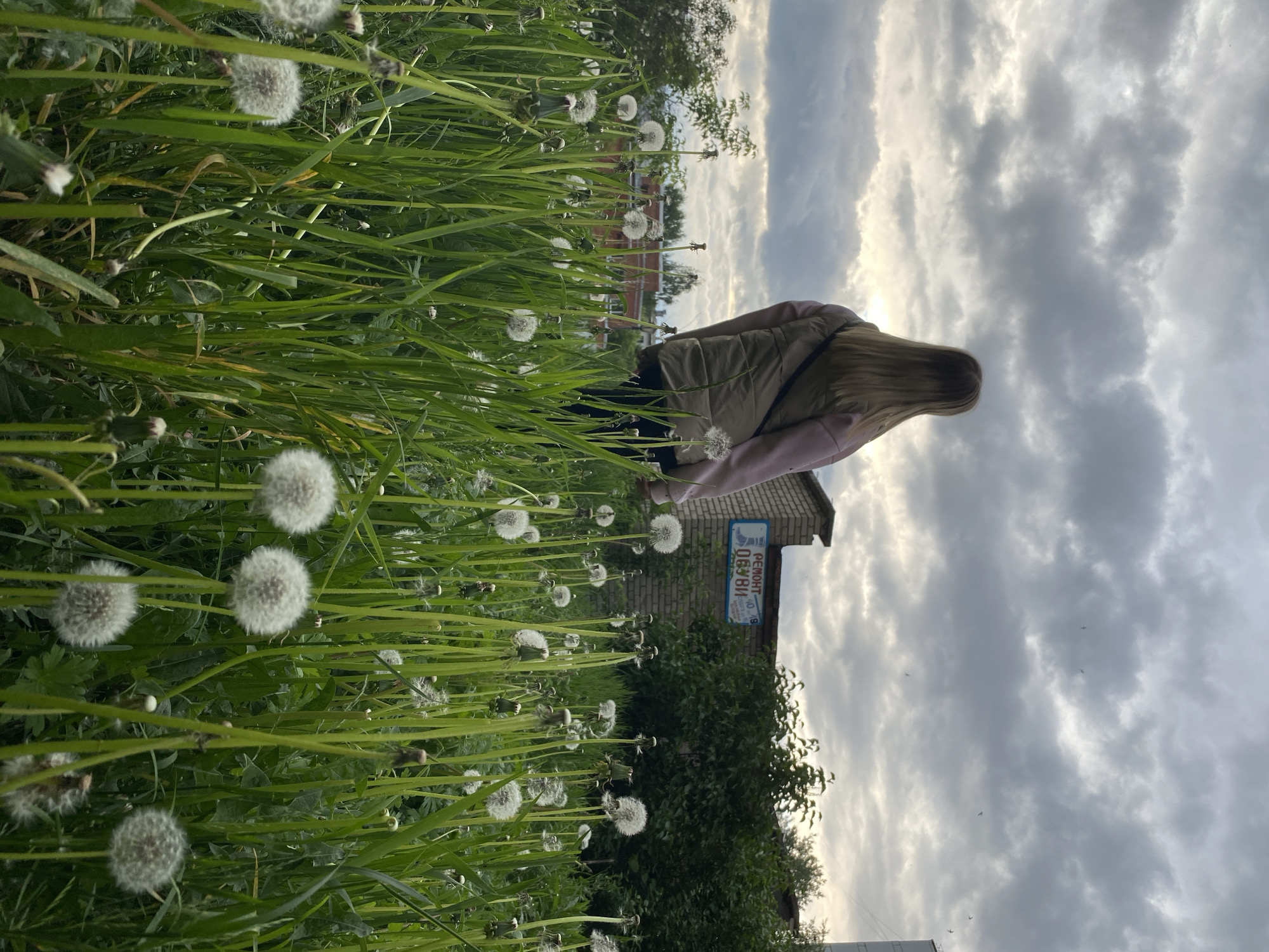 A lone individual is depicted from behind, standing in a field of tall green grass populated by numerous white dandelion seed heads. The person has long, straight, blonde hair and wears a light pink or beige long-sleeved top under a light brown sleeveless puffer vest, with a dark strap crossing their upper back. They are positioned centrally in the lower half of the frame, facing away from the viewer towards a cloudy sky. The sky is predominantly grey with a brighter patch of light near the horizon. Several small, dark bird-like shapes are visible against the clouds in the upper right. In the background, to the left of the person, a brick wall is partially visible with dense green foliage behind it. A blue rectangular sign with white text is affixed to the brick wall, displaying "РЕМОНТ ОБУВИ" (SHOE REPAIR). Further to the right, a multi-story building with a light-colored facade is visible. The scene suggests an urban or suburban environment with an unmaintained green space. The exact city is unknown.