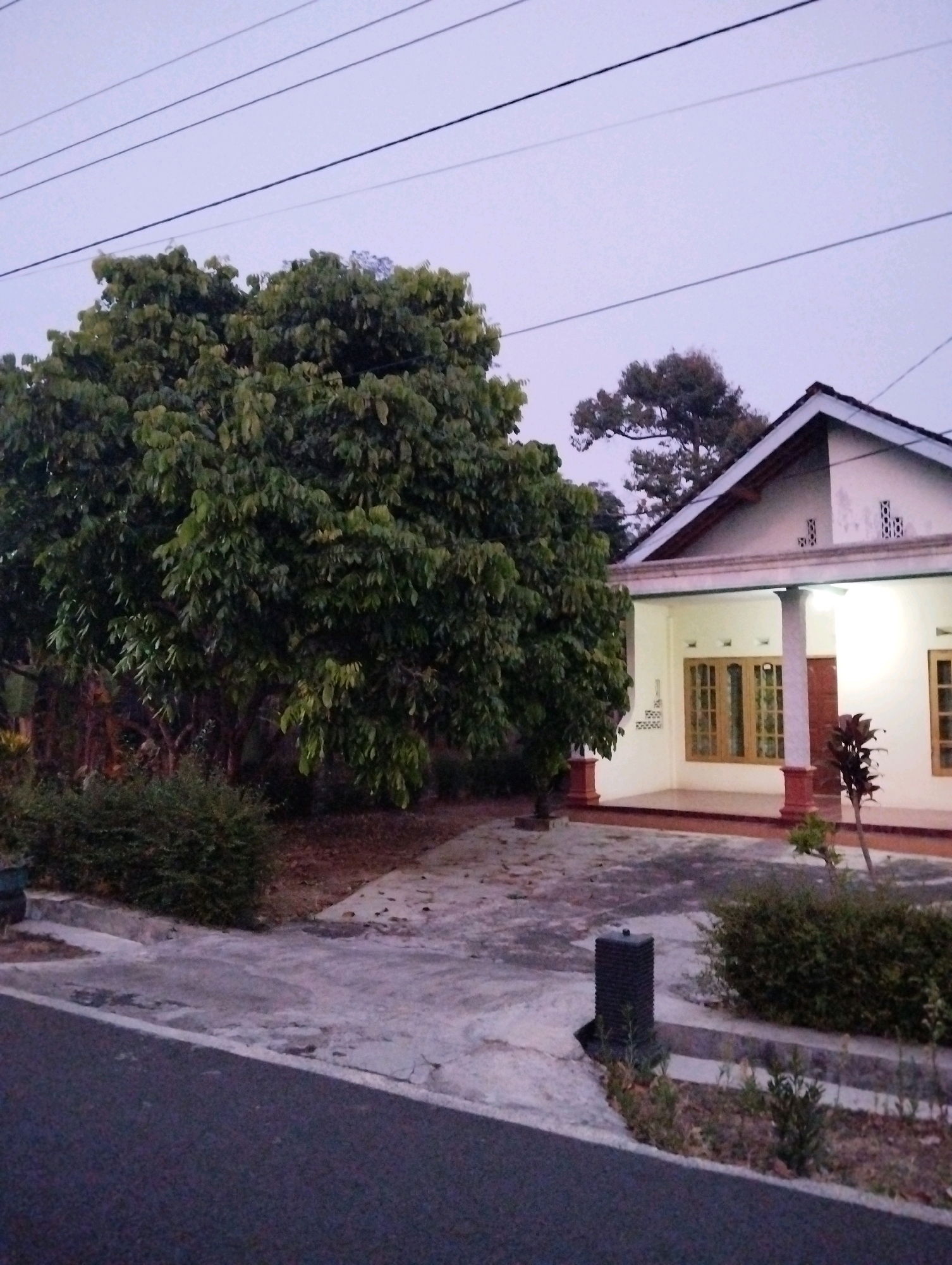 The image shows a residential house with a white facade and a red-tiled roof, located in Salatiga, Indonesia. A large, leafy green tree stands to the left of the house, casting shadows on the concrete driveway. In front of the house, there is a covered porch with two supporting pillars. Several windows with wooden frames are visible on the facade, and a red-brown wooden door is partially visible. The area around the house is paved with concrete and bordered by a low wall and bushes. A dark asphalt road runs along the foreground, with a black, rectangular object, possibly a utility box or a vent, situated on the side of the driveway. Overhead, power lines stretch across the pale, twilight sky. The environment appears to be quiet and domestic, with no people or animals visible in the scene.