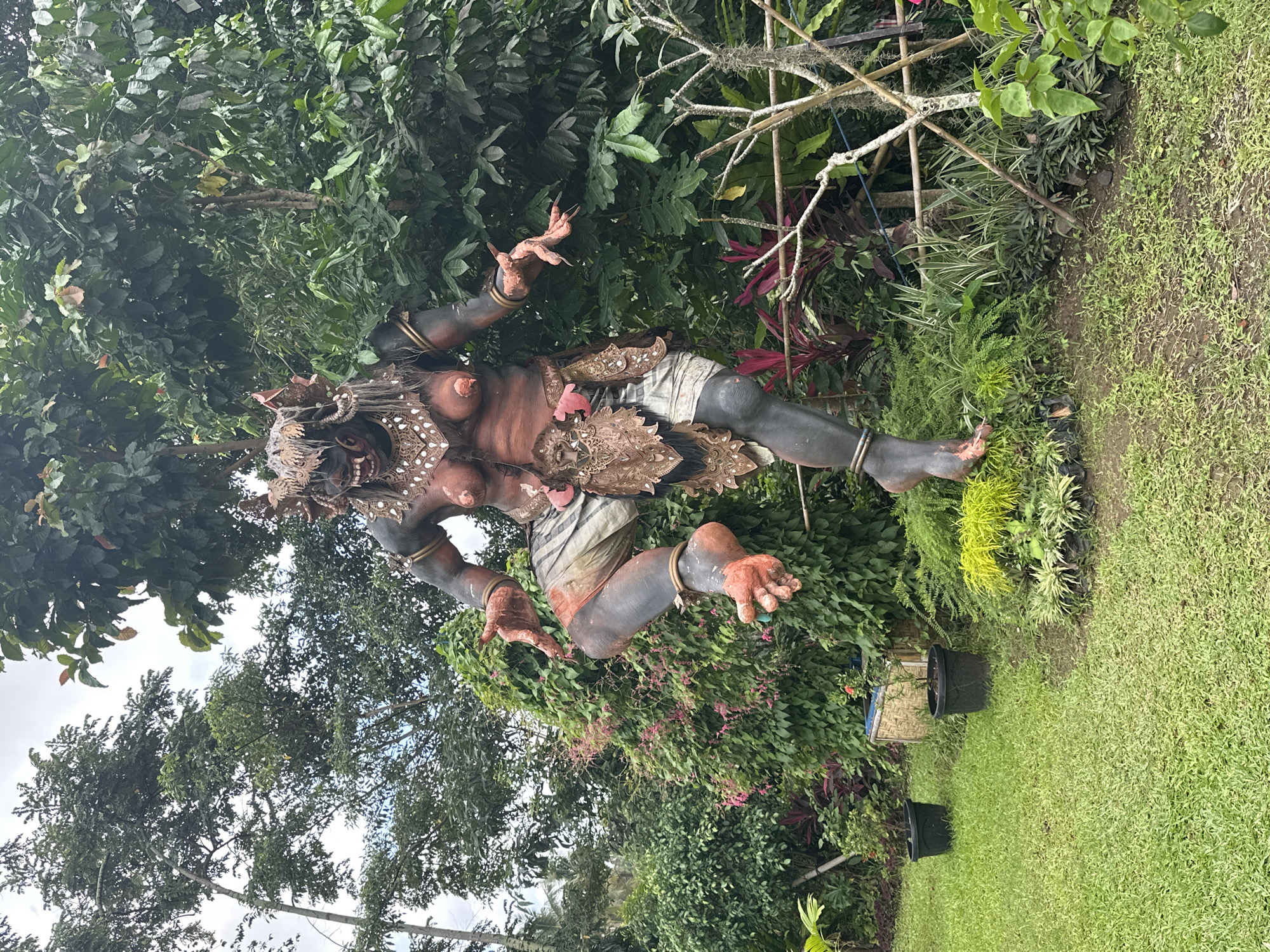 A larger-than-life statue of a demon figure is the focal point of this image, which appears to be set in a garden. The statue is brown and grey, adorned with intricate headwear and ornaments around the neck and upper chest. It is depicted in a dynamic, mid-air pose with arms outstretched and legs bent, giving the impression of leaping or flying.
The statue is surrounded by lush greenery, including various trees, shrubs, and flowering plants. The background features a diverse mix of foliage, suggesting a well-maintained garden or park setting. The presence of black plastic plant pots along the ground indicates active gardening or landscaping efforts.
The scene's location is Gianyar, Indonesia, as identified through contextual clues related to local art and culture. The specific context or purpose of this statue and its surroundings can only be speculated on based on the visual details provided.