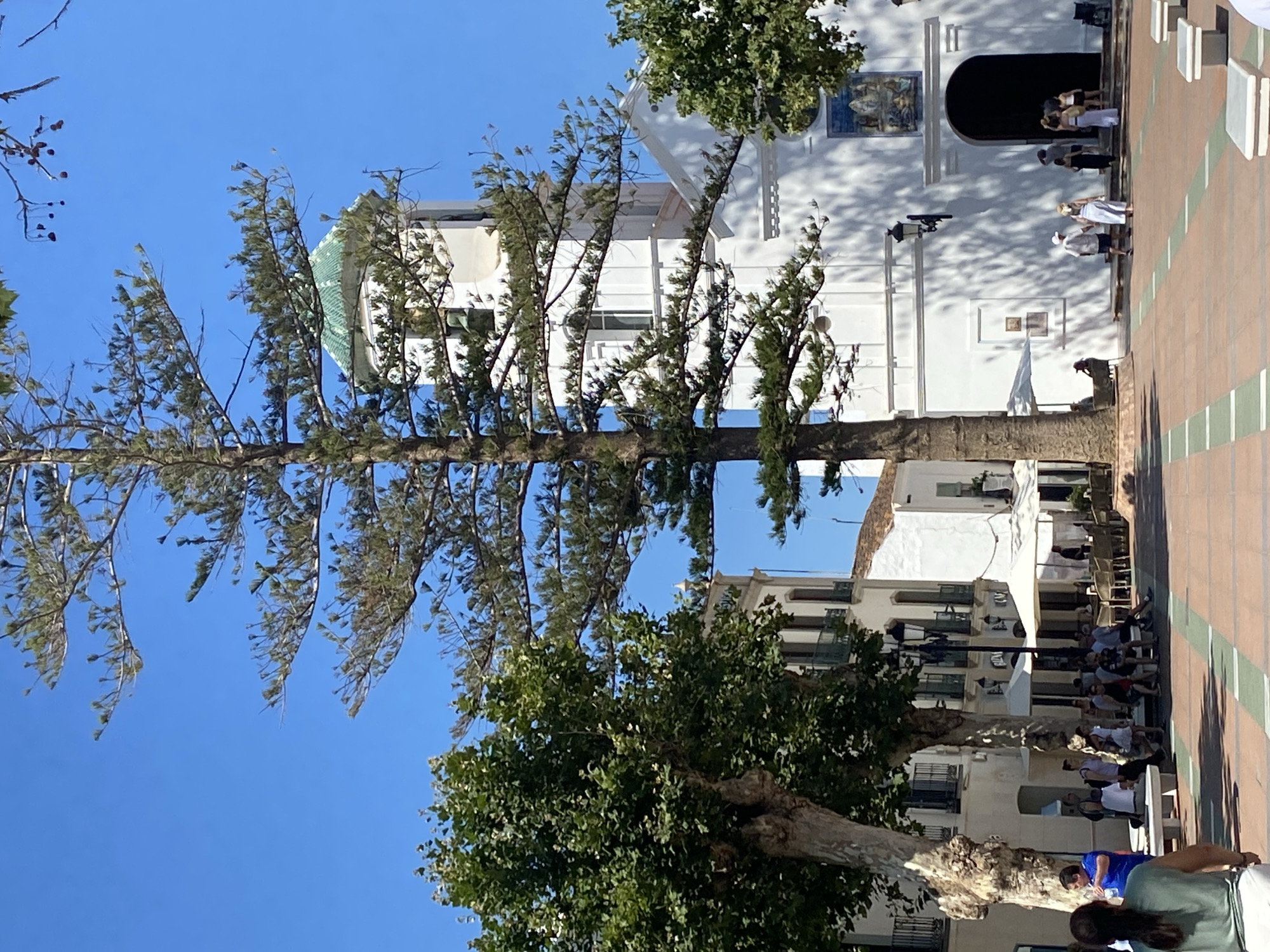 The image captures a sunny day in the Plaza de España in Nerja, Spain. A tall Norfolk Island pine tree stands prominently in the foreground, its branches reaching towards a clear blue sky. Behind the tree, the white facade of the Iglesia de El Salvador is visible, featuring a distinctive green-tiled dome and bell tower. A tiled mural adorns the church's exterior.
In the plaza, several people are seen strolling, sitting on benches, and gathering in small groups. Some are seated at tables outside cafes, enjoying the warm weather. A woman in a light green top and white shorts walks away from the camera in the lower left corner. Others are walking towards the church entrance. The plaza floor is paved with geometric patterns of reddish-brown tiles and lighter green stripes. The background shows traditional white-washed buildings with balconies, typical of Andalusian architecture. The overall atmosphere is one of a peaceful, vibrant town square on a bright summer day.