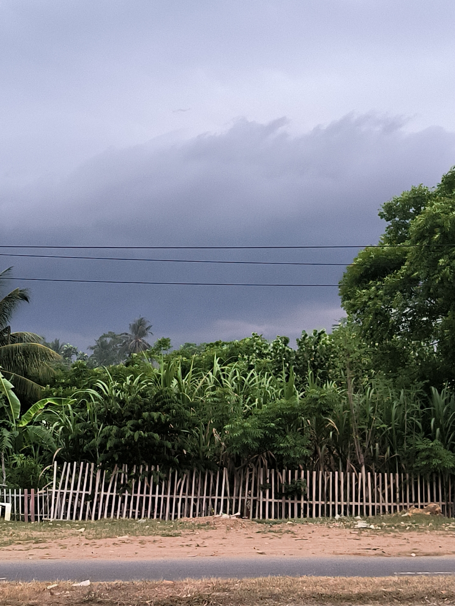 The image depicts a rural or semi-rural landscape in Lhokseumawe, Indonesia, under a dark, heavily overcast sky. The upper portion of the frame is filled with dense, grey-blue clouds, indicative of impending weather. Three black utility lines are stretched horizontally across the upper-middle section of the image. Below the utility lines, a thick expanse of green tropical vegetation dominates the mid-ground, featuring large-leafed plants, tall stalks resembling sugarcane, and multiple trees, including discernible palm fronds on the far left and a full-crowned tree on the right. A light-colored wooden picket fence, constructed from irregularly shaped and spaced vertical planks, runs horizontally across the lower-mid section of the frame. The foreground comprises a reddish-brown dirt path or shoulder, separated by a narrow strip of dark asphalt pavement. Scattered debris and sparse dry vegetation are visible on the dirt ground. In the bottom-right corner, a recumbent brown animal, possibly a dog, is partially visible near the fence line. No human individuals are present.