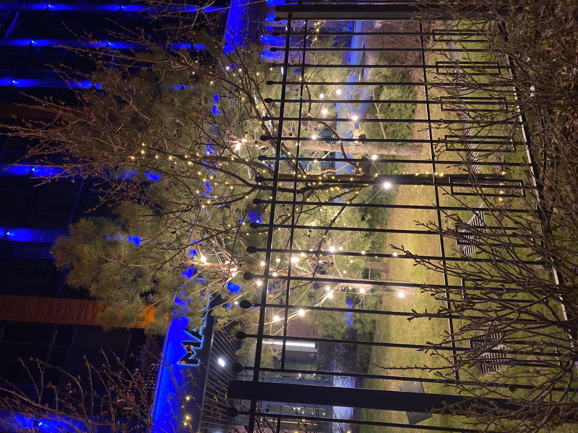 The image shows a night scene, possibly in Yekaterinburg, Russia, suggested by the Cyrillic characters and architecture. A wrought-iron fence is prominently in the foreground, partially obscuring a tree decorated with string lights. In the background, a building with blue accent lighting is visible. The scene seems to be an outdoor space, possibly a park or garden, with bare branches of bushes on the right side of the image. There are no people visible in the image.