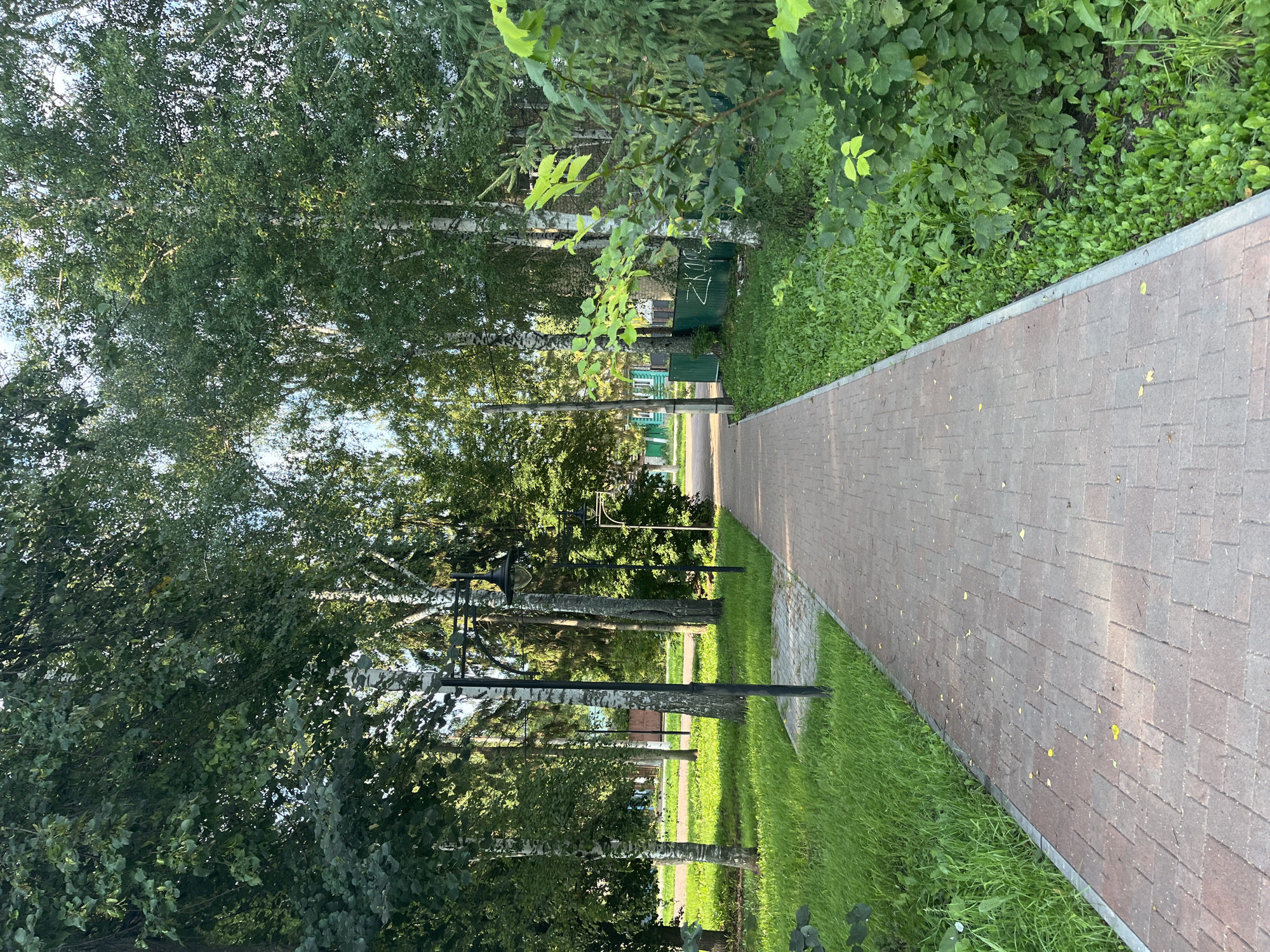 The image shows a paved pathway in a park-like setting. The pathway is made of reddish-brown rectangular pavers laid in a repeating pattern. On the left side of the path, there is a lush green lawn with bright sunlight casting shadows from the trees. Several birch trees with their distinctive white and black bark are visible, along with other deciduous trees. Black lampposts with vintage-style lanterns are placed along the path.
On the right side of the path, there is dense green foliage and bushes. In the background, glimpses of buildings with green fences and windows can be seen, suggesting a residential or park area. The overall atmosphere is peaceful and natural, with the sunlight filtering through the leaves of the trees, creating a dappled effect. There are no people visible in the image. The environment appears to be a well-maintained urban green space.