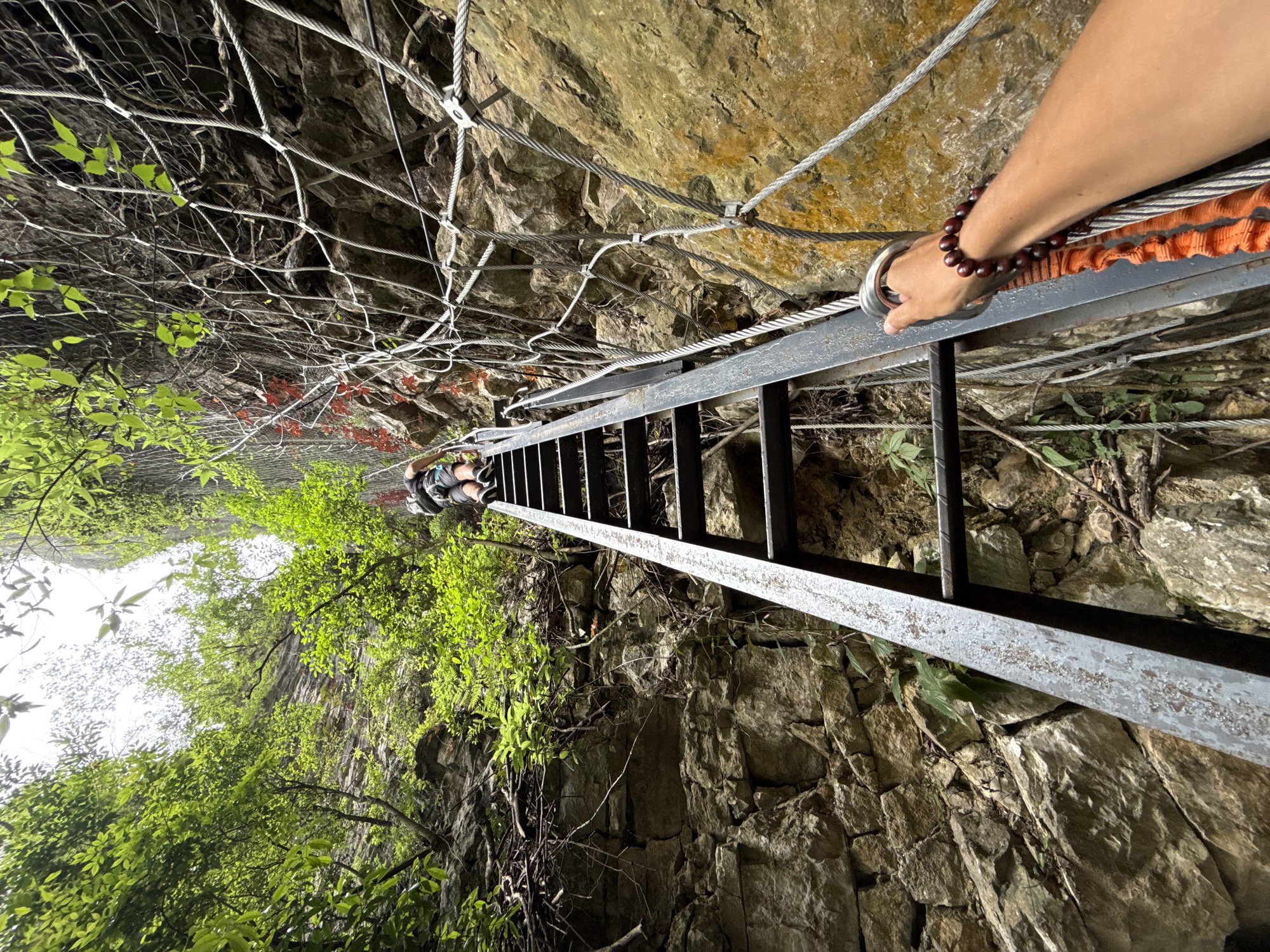 A vertical shot depicts a long, metal ladder ascending a rocky cliff face, likely in Zhangjiajie, China. A person wearing hiking boots climbs the ladder. A person's arm, adorned with a beaded bracelet, holds onto the ladder near the top. The ladder is secured to the rock face by cables. Mesh netting overlays the rock face at the top of the frame. Green foliage clings to the rocks on the left side of the image.