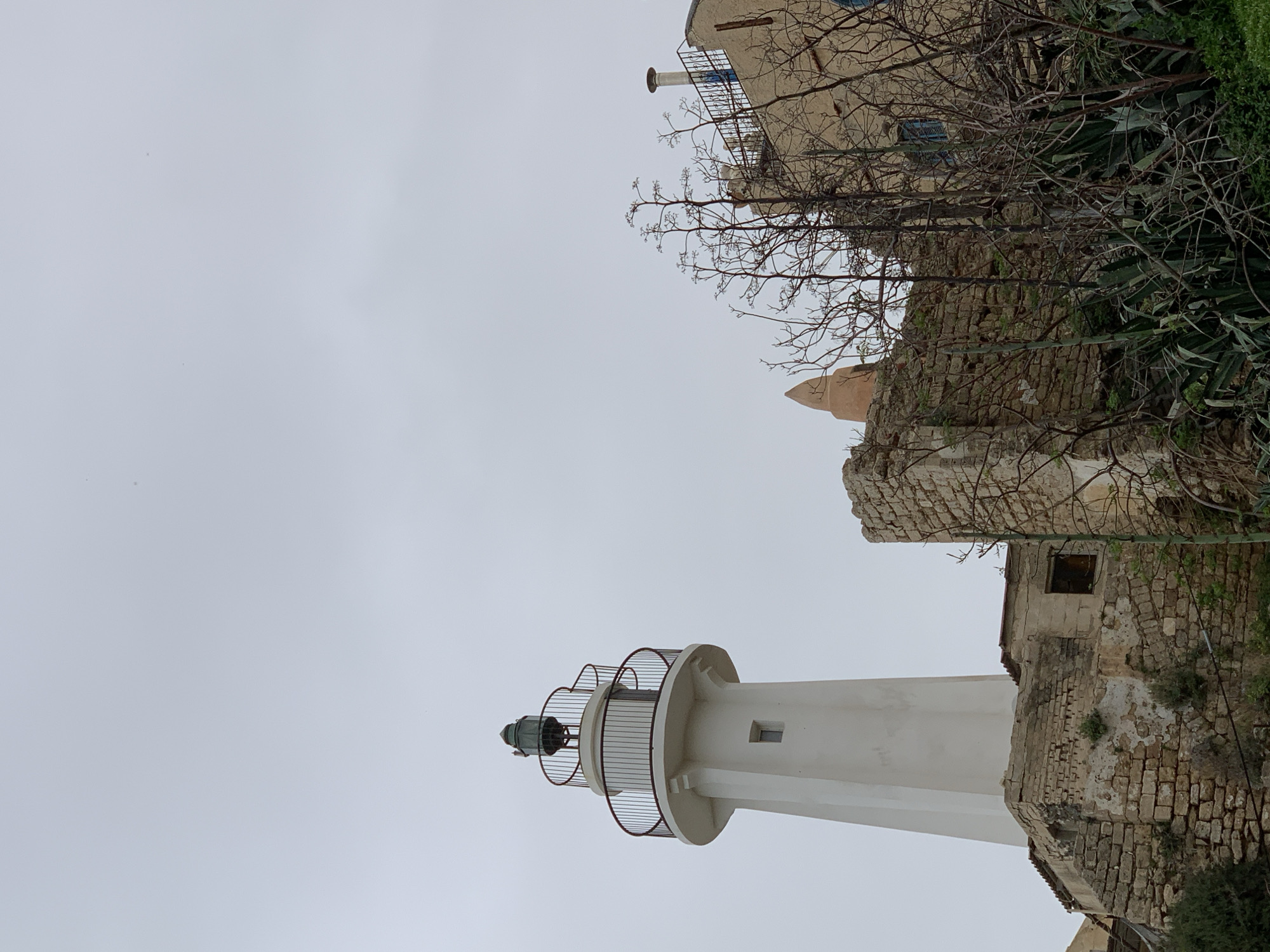 The image depicts the Tel Aviv Lighthouse in Jaffa, Israel, with a cloudy sky. The lighthouse is white, with a dark green lantern room, a circular railing around the top, and a square window on its shaft. Adjacent to the lighthouse is a stone building with eroded walls and a small window. Bare tree branches and greenery grow near the stone structure. In the background, there is another building with a chimney, a blue window, and more vegetation.