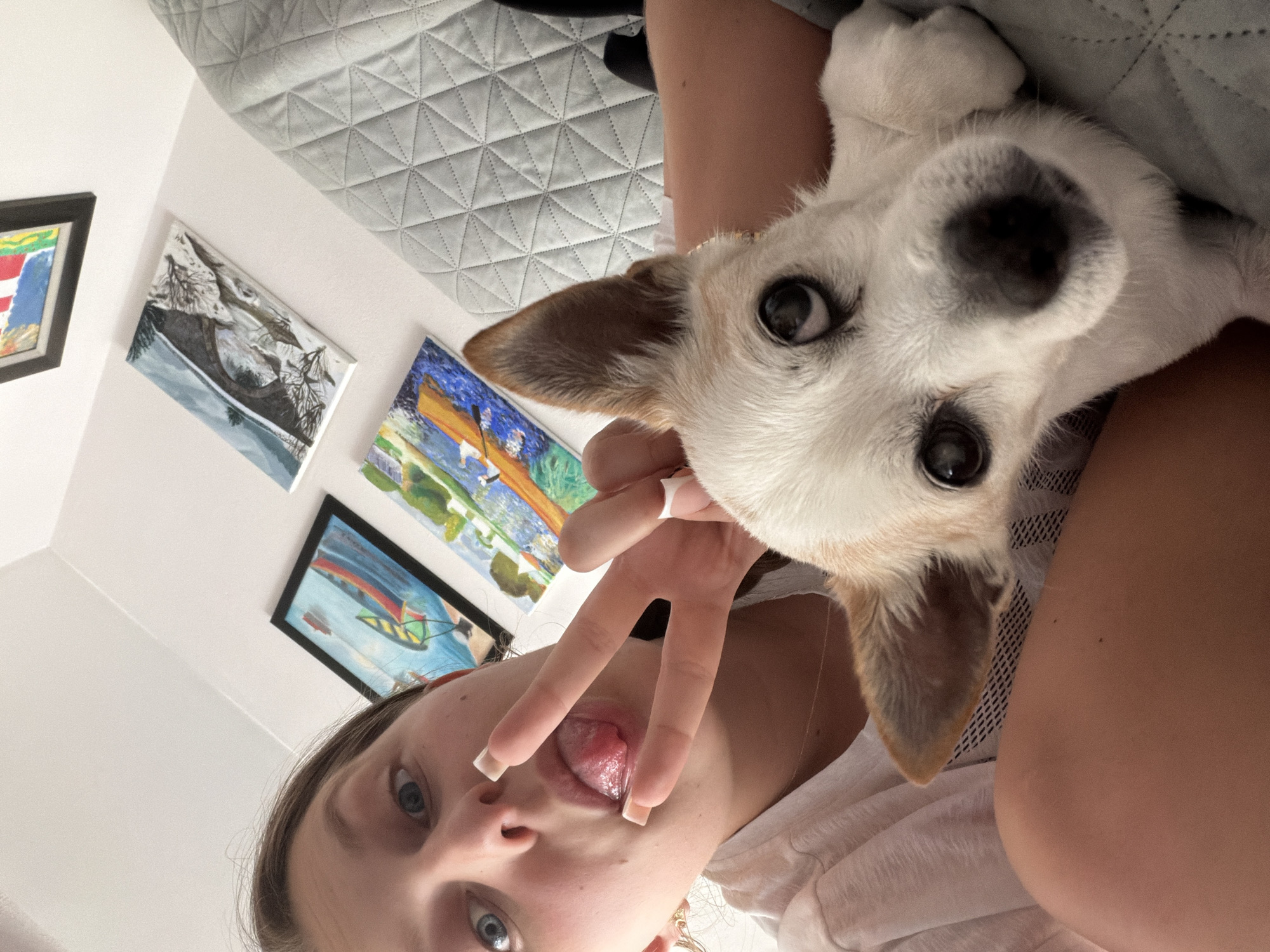 A young female with blonde hair, wearing a white t-shirt, is taking a selfie with a small dog. She has her tongue sticking out and is making a peace sign with her fingers. The dog, a white and tan terrier mix, is looking at the camera. They are indoors, with several framed paintings on the wall behind them. The paintings appear to be of landscapes and boats. The wall is white and the background includes a quilted grey surface, possibly a blanket or couch. There is no indication of the specific location within Burgas, Bulgaria.
