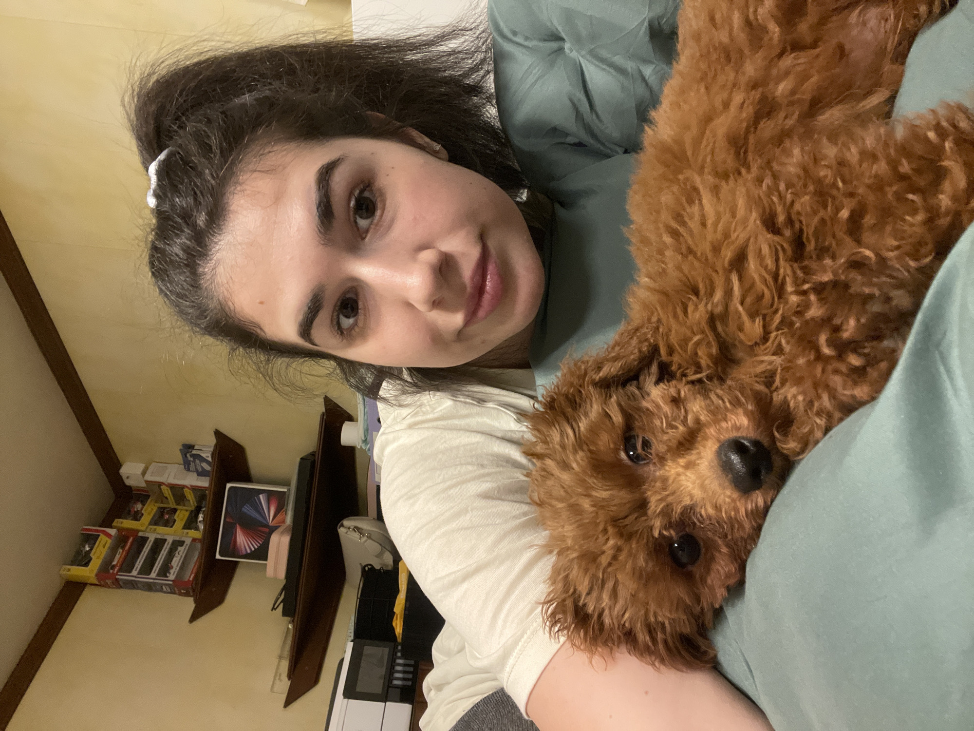 A young woman with dark hair partially pulled back with a white hair tie is holding a brown poodle. The woman is looking at the camera with a slight smile. She is wearing a light green shirt. The poodle is lying on its stomach, with its head resting on the woman's chest. The background shows a slanted wall painted in yellow. There is a dark wood shelf with several boxes and an iPad on it. A printer is visible beneath the shelf. The location is assumed to be inside a room. There is no indication of Sofia, Bulgaria in the image.