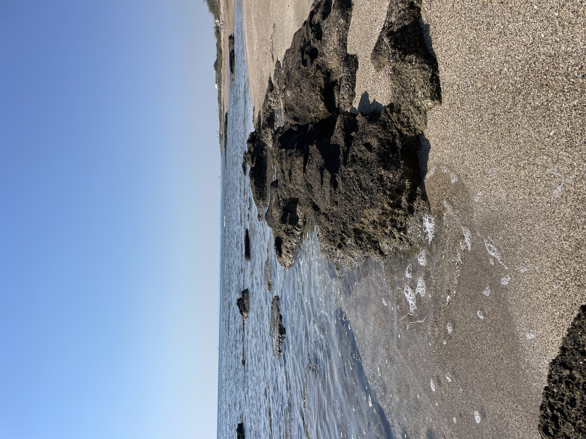 A low-angle, eye-level outdoor photograph shows a view of a beach in Agios Sergios, Northern Cyprus. The foreground is dominated by dark, jagged rocks with patches of lighter, granular sand. The water, which is clear and shallow, laps at the shore, creating small white foam bubbles against the rocks. Further out, the sea extends to the horizon under a clear, pale blue sky. Along the distant shoreline, there are hints of a city skyline and scattered buildings amidst sparse vegetation. The scene is tranquil and devoid of any human activity.