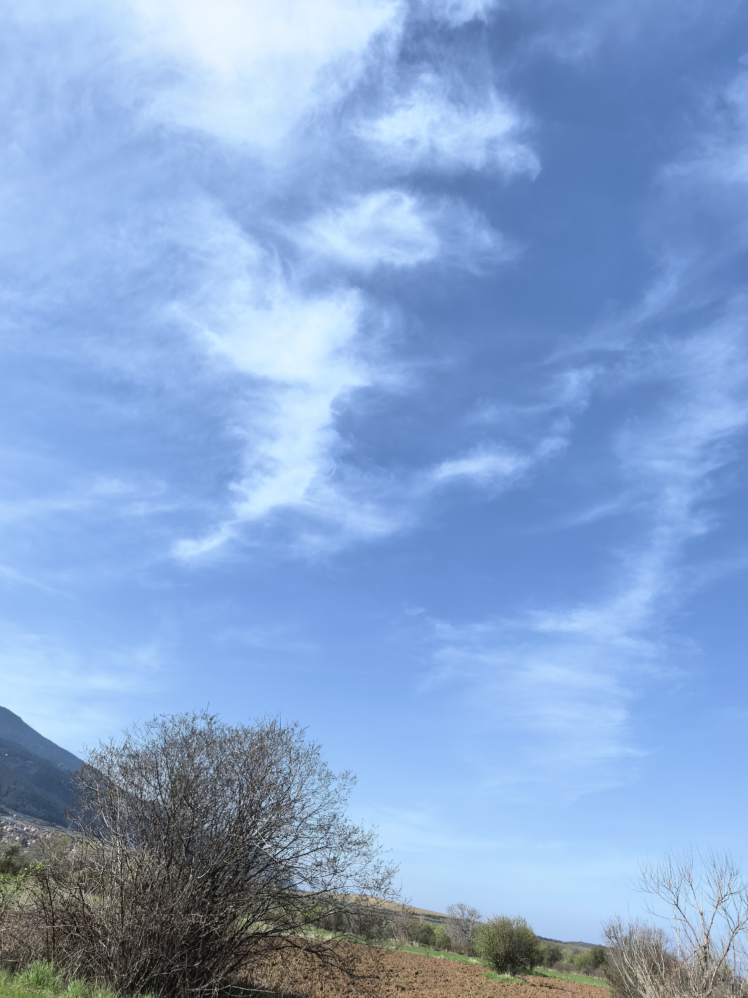 The image captures a serene, open landscape under a vast blue sky with wispy white clouds. The sky occupies roughly the upper two-thirds of the frame, displaying streaks and patches of cirrus-like clouds, indicating fair weather. The overall color palette is dominated by bright blues and natural earth tones.
In the foreground and midground, a field of freshly tilled, reddish-brown soil is visible, suggesting agricultural activity. Patches of green grass and sparse vegetation break up the brown earth. Several bare-branched bushes or small trees, typical of late winter or early spring, are scattered across the lower portion of the image. A prominent, dense, and tangled bush with dark, leafless branches stands in the lower-left quadrant, providing a strong focal point.
To the left, a large, dark green mountain or steep hill rises into the mid-distance. At its base, a small cluster of buildings, possibly a village or hamlet, can be faintly discerned, hinting at human settlement in the area. The sunlight appears bright, suggesting it is daytime, likely late morning or early afternoon, given the relatively even illumination and lack of long shadows.
No specific activity or event is taking place; the image is a still landscape. There is no visible text within the media file. The scene conveys a sense of peaceful rural expanse.