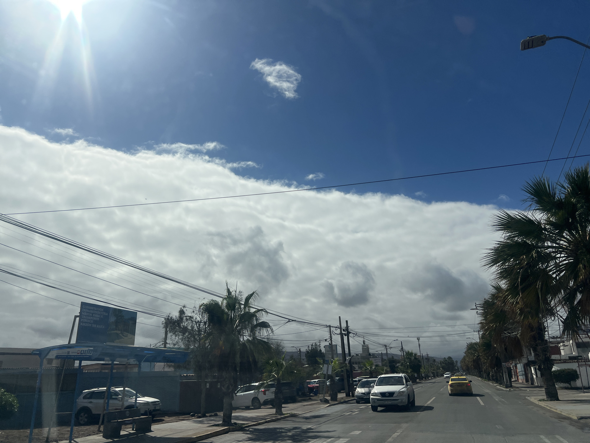 This image depicts a street scene in Arica, Chile, with a view looking down a two-lane road lined with palm trees and buildings. The sky is a mix of bright blue with strong sunlight emanating from the upper left, and large, white, fluffy clouds. The road surface is asphalt with white lane markings. Several vehicles are visible, including white SUVs, a yellow taxi, and other cars. On the left side of the road, there is a bus stop with a blue shelter and benches. A large billboard is also present behind the bus stop. Power lines are strung across the scene, supported by utility poles. The buildings on the right appear to be commercial or residential, with some showing signs and awnings. The overall impression is of a moderately busy urban environment on a sunny but partly cloudy day.