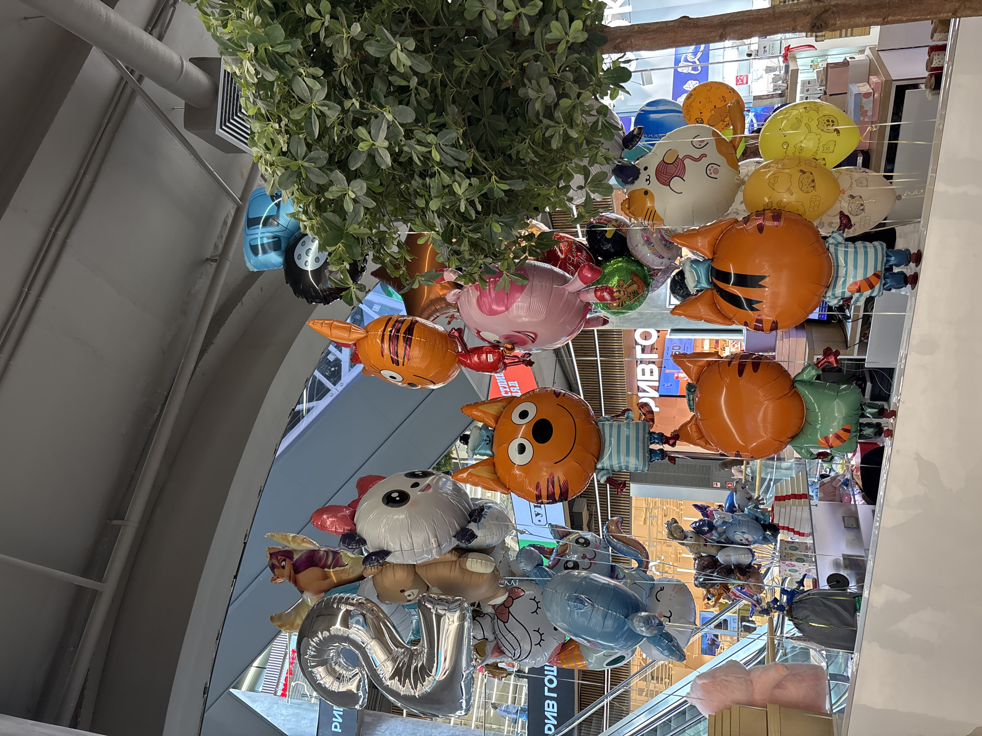 An upward-angled shot captures a vibrant display of numerous helium balloons suspended from the ceiling of what appears to be a modern indoor commercial space, likely a shopping mall or large store. A large, dense artificial green plant or tree is prominently positioned at the top center, from which many of the balloons seem to hang.
The balloons are diverse in shape and character, primarily featuring various animals and cartoon figures. Notable examples include multiple orange tiger-like balloons, a pink pig, a white panda, a brown bear, a blue whale, a chicken, and a blue car-shaped balloon. Several round balloons display cartoon faces or patterns, such as yellow ones with small animal prints. Metallic silver number balloons, specifically "21," are visible near the bottom left, suggesting a birthday or anniversary celebration. The balloons create a festive and whimsical atmosphere, likely decorating the space for an event or attracting children.
The setting features modern architectural elements, including a light grey ceiling with exposed ventilation ducts and a square vent. Reflections on glossy surfaces below reveal escalators and parts of the building's interior. Although no distinct individuals are primary subjects, blurry reflections or distant figures of people can be seen in the background, suggesting a public environment.
Several instances of Cyrillic text are visible, particularly in reflections. On the right, the name "РИВ ГОШ" (RIV GOSH), a Russian cosmetics retailer, is clearly reflected, confirming the location context of Russia. Other partial Cyrillic words are visible on screens or signs in the background. The scene suggests a daytime setting within the controlled environment of a commercial building.